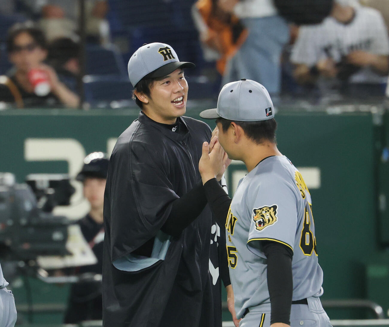 巨人対阪神　勝利しナインとタッチを交わす阪神才木浩人（撮影・増田悦実）