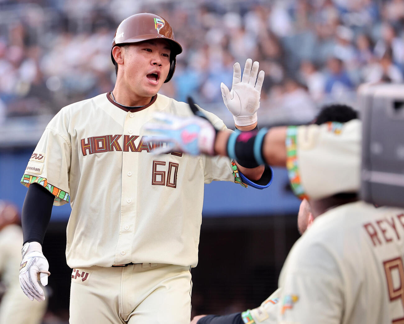 ロッテ対日本ハム　2回表日本ハム1死、先制本塁打を放ちベンチに迎えられる吉田賢吾（撮影・野上伸悟）