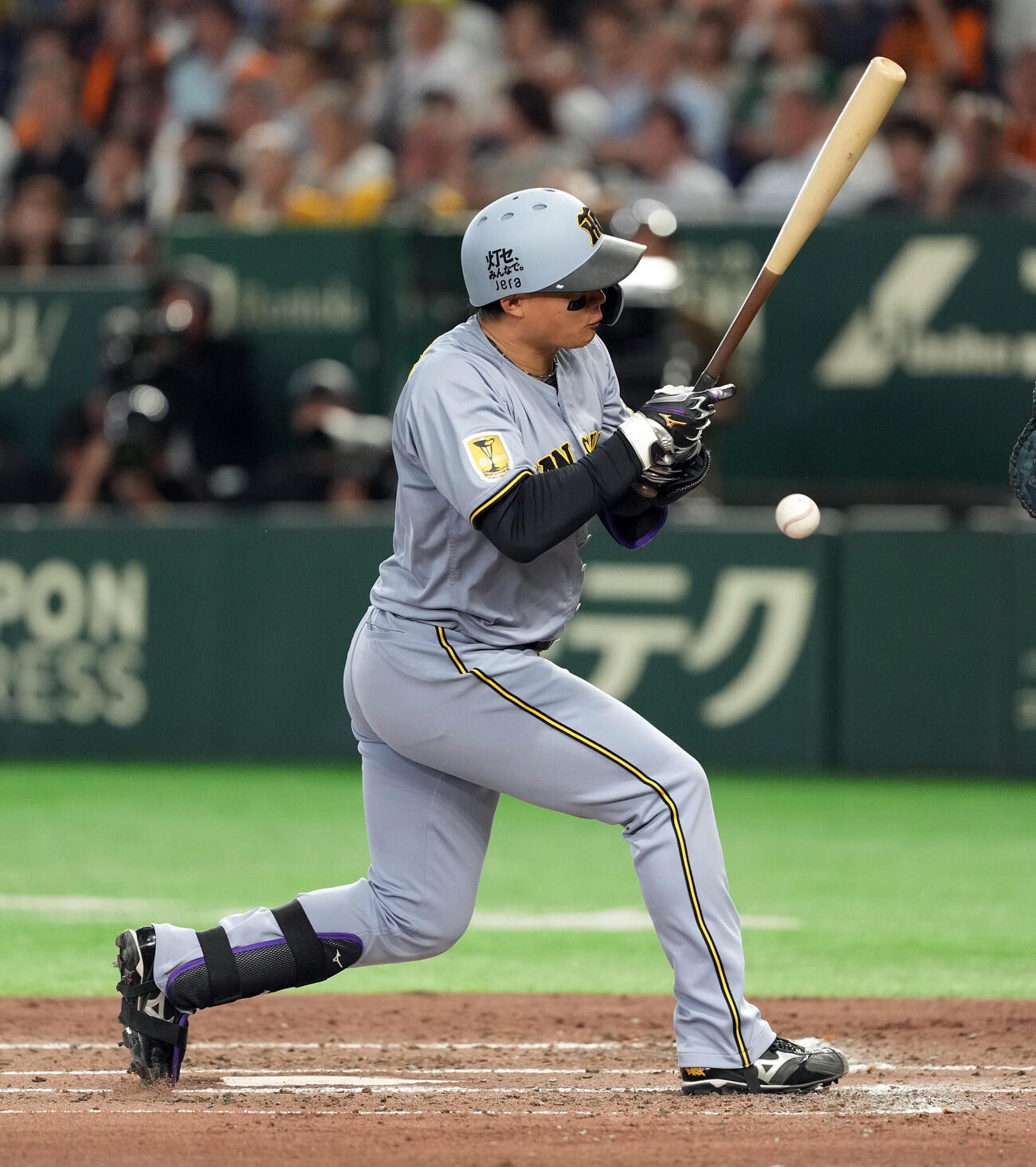巨人対阪神　3回表阪神2死一塁、死球を受ける森下翔太（撮影・たえ見朱実）