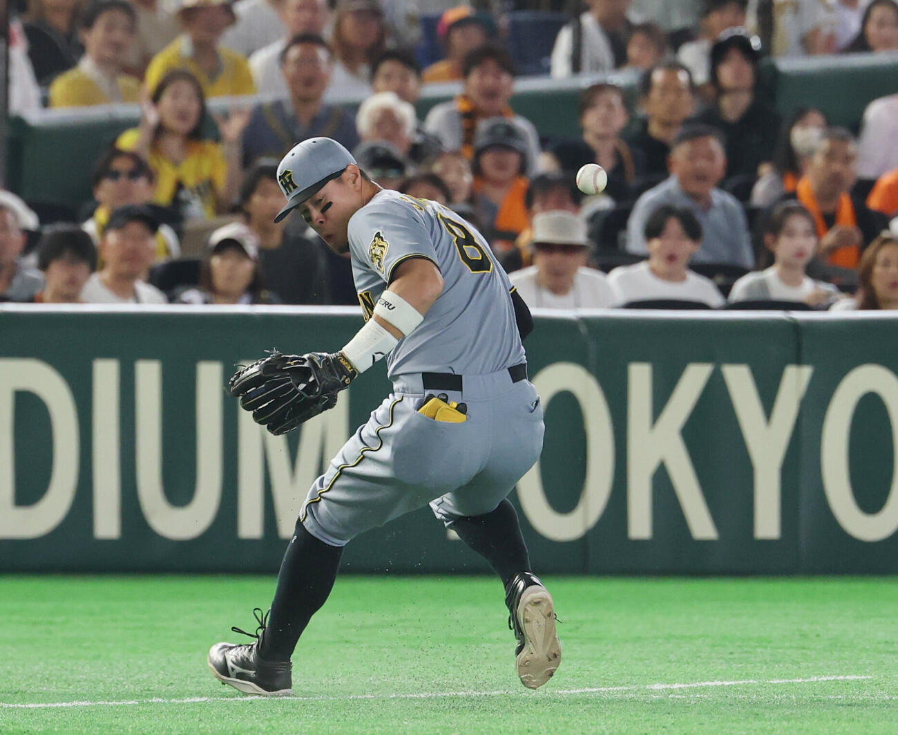 巨人対阪神　1回裏巨人1死一、二塁、ボビー・ダルベックの打球を落球する佐藤輝明（撮影・増田悦実）