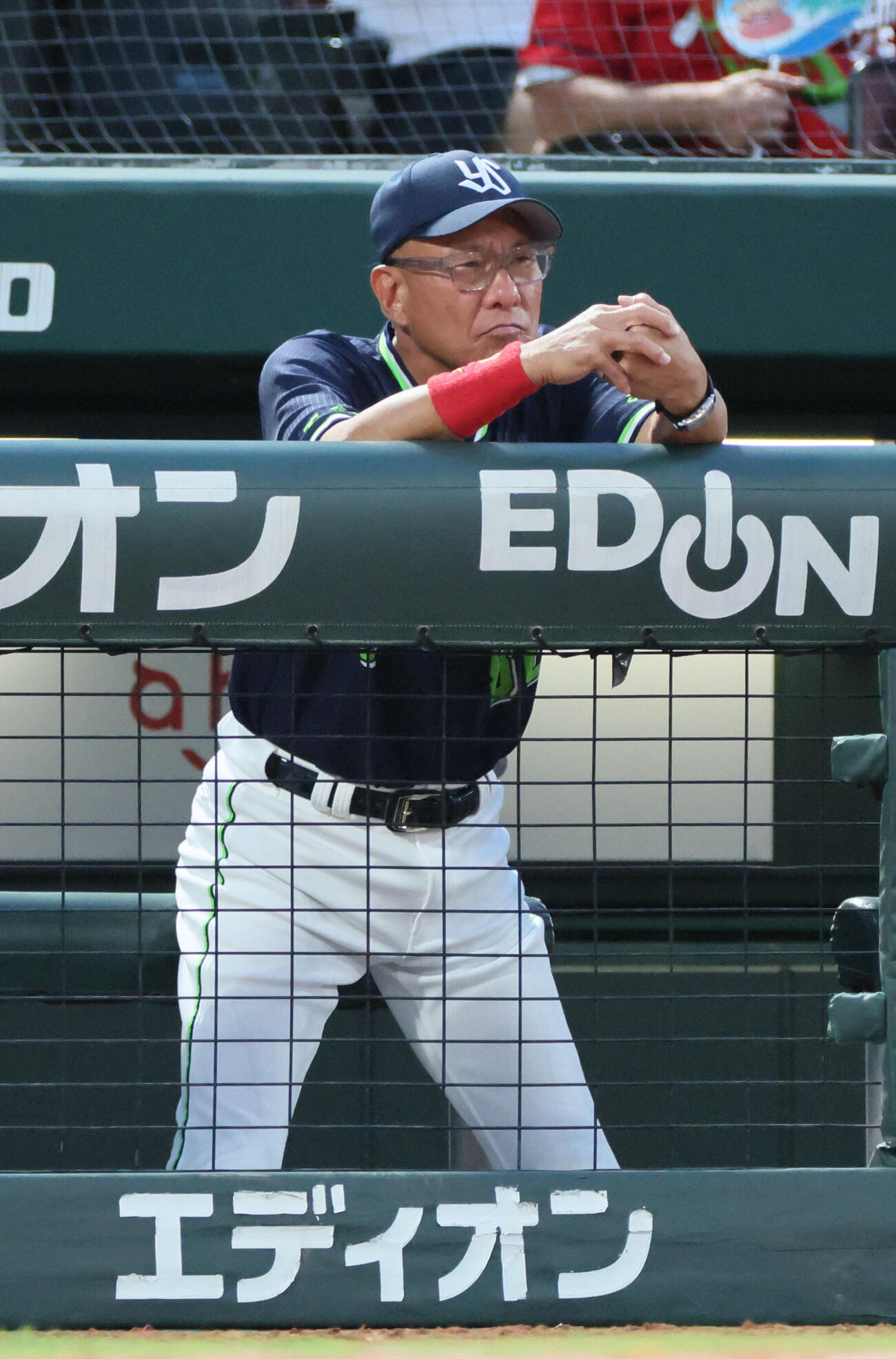広島対ヤクルト　5回裏広島、ベンチのヤクルト池山隆寛監督（撮影・加藤孝規）