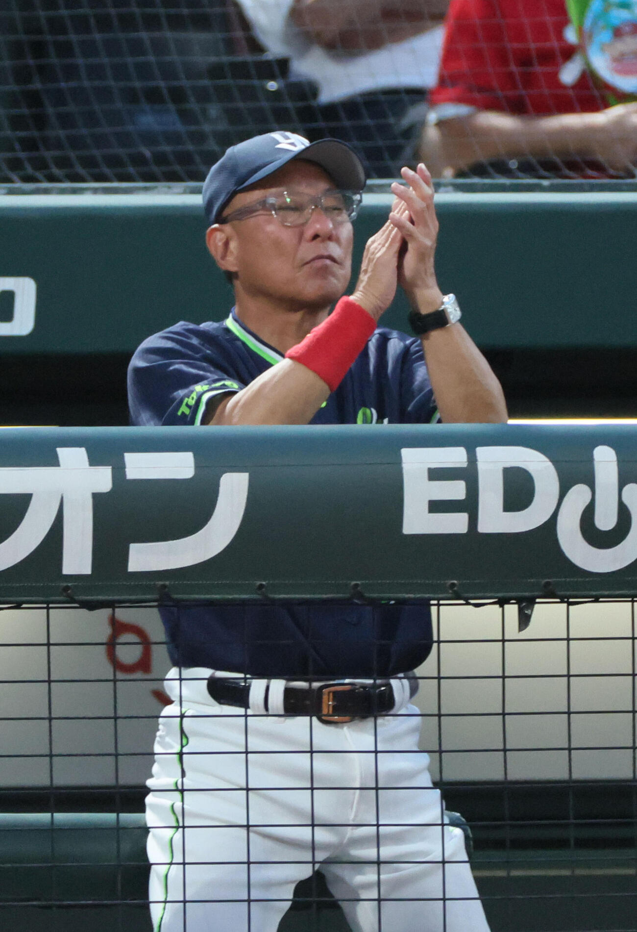 広島対ヤクルト　5回裏広島、ベンチのヤクルト池山隆寛監督（撮影・加藤孝規）