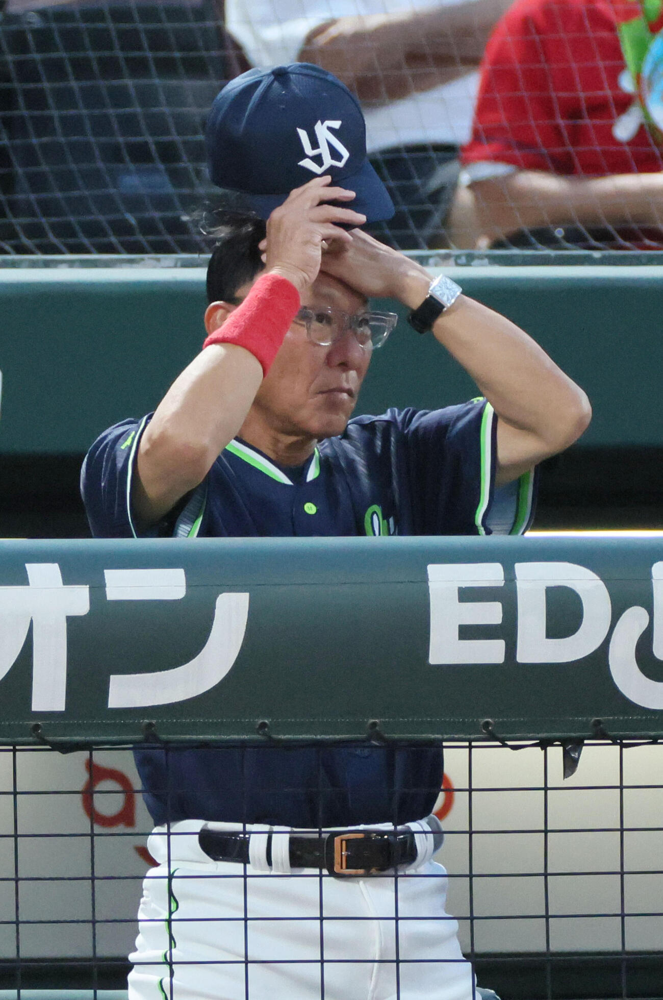 広島対ヤクルト　5回裏広島、ベンチのヤクルト池山隆寛監督（撮影・加藤孝規）