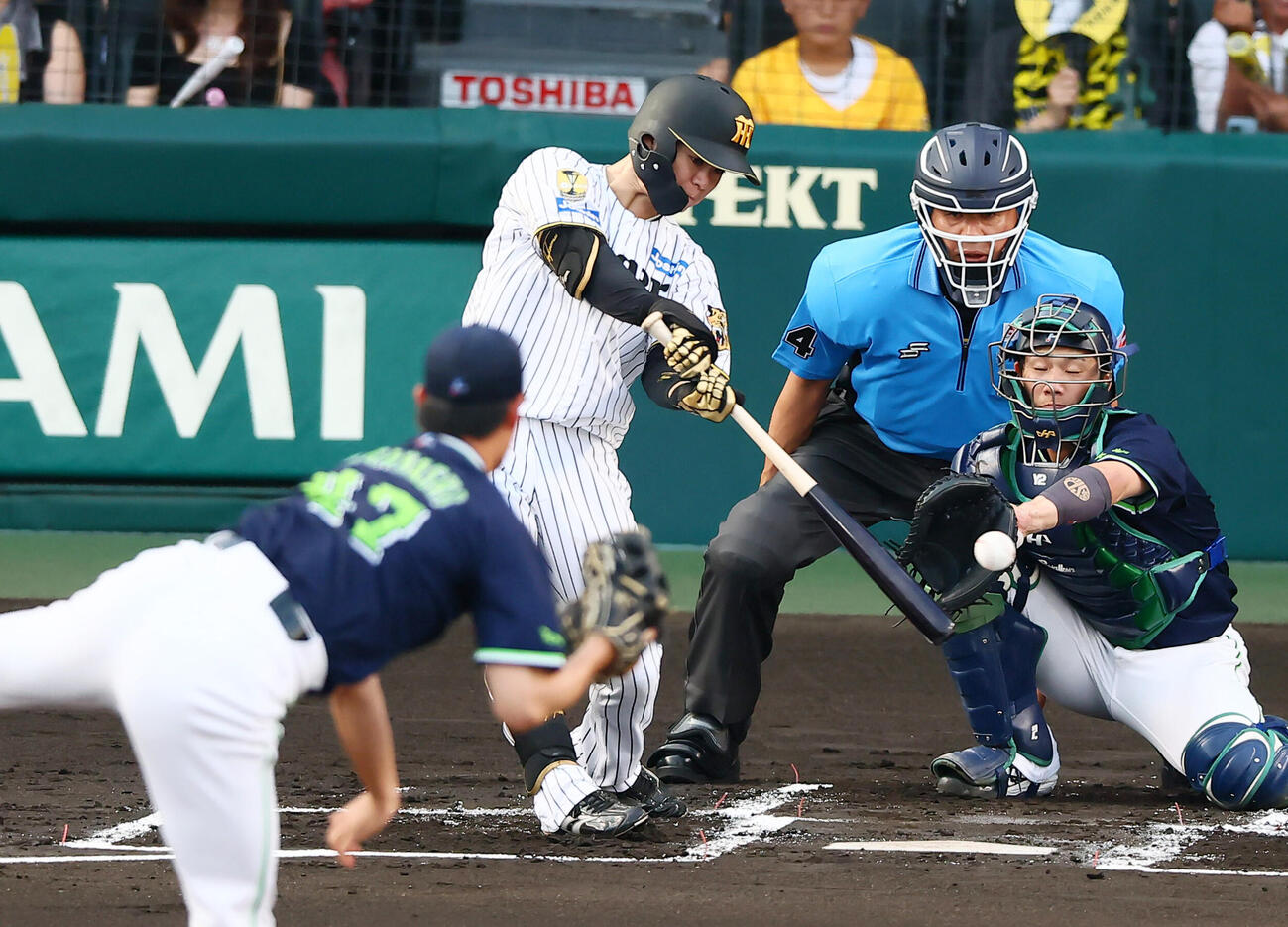 阪神対ヤクルト　1回裏阪神1死、中野拓夢は左前打を放つ。投手高橋奎二（撮影・加藤哉）
