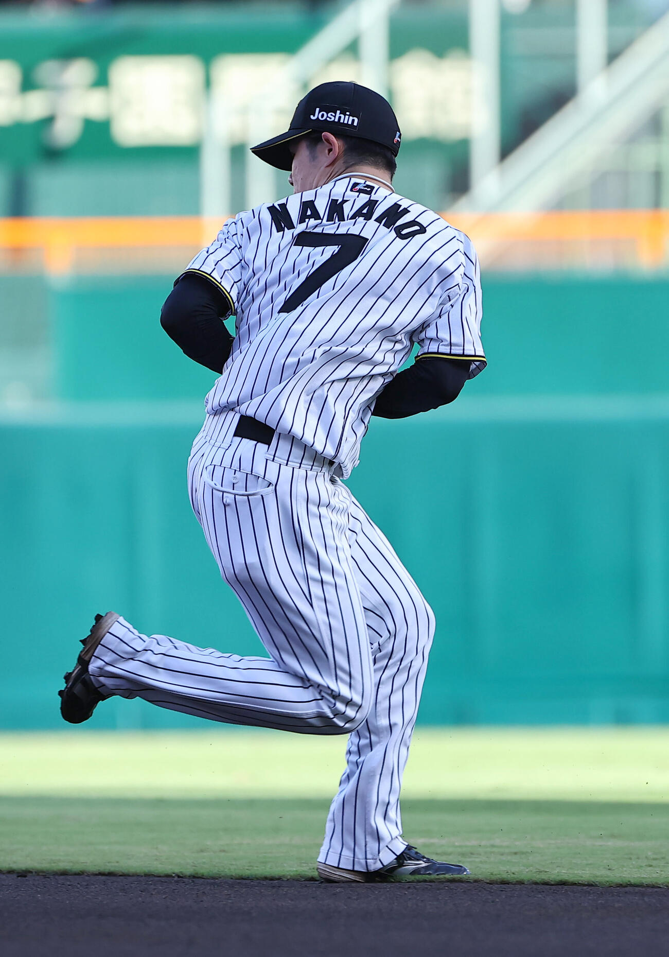 阪神対ヤクルト　1回表ヤクルト無死、中野拓夢は岩田幸宏の二ゴロを軽快にさばく（撮影・上田博志）