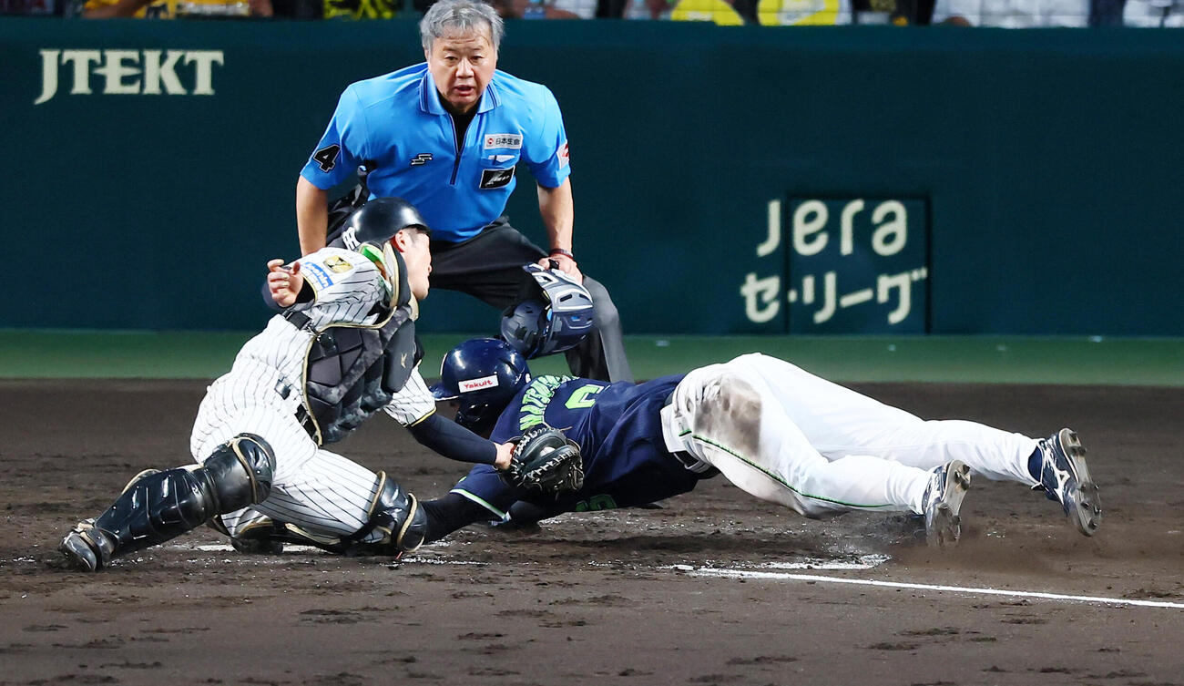 阪神対ヤクルト　5回表ヤクルト1死一、三塁、三走松下歩叶は山野辺翔の野選で生還。捕手坂本誠志郎（撮影・加藤哉）