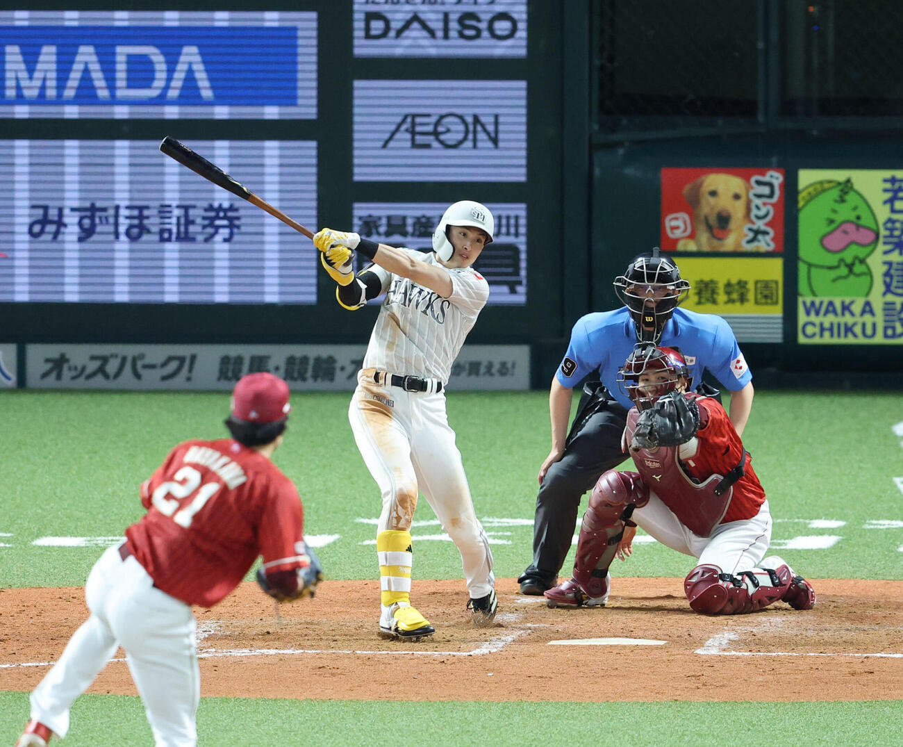 ソフトバンク対楽天　4回裏ソフトバンク2死満塁、周東佑京は左前に2点適時打を放つ（撮影・梅根麻紀）