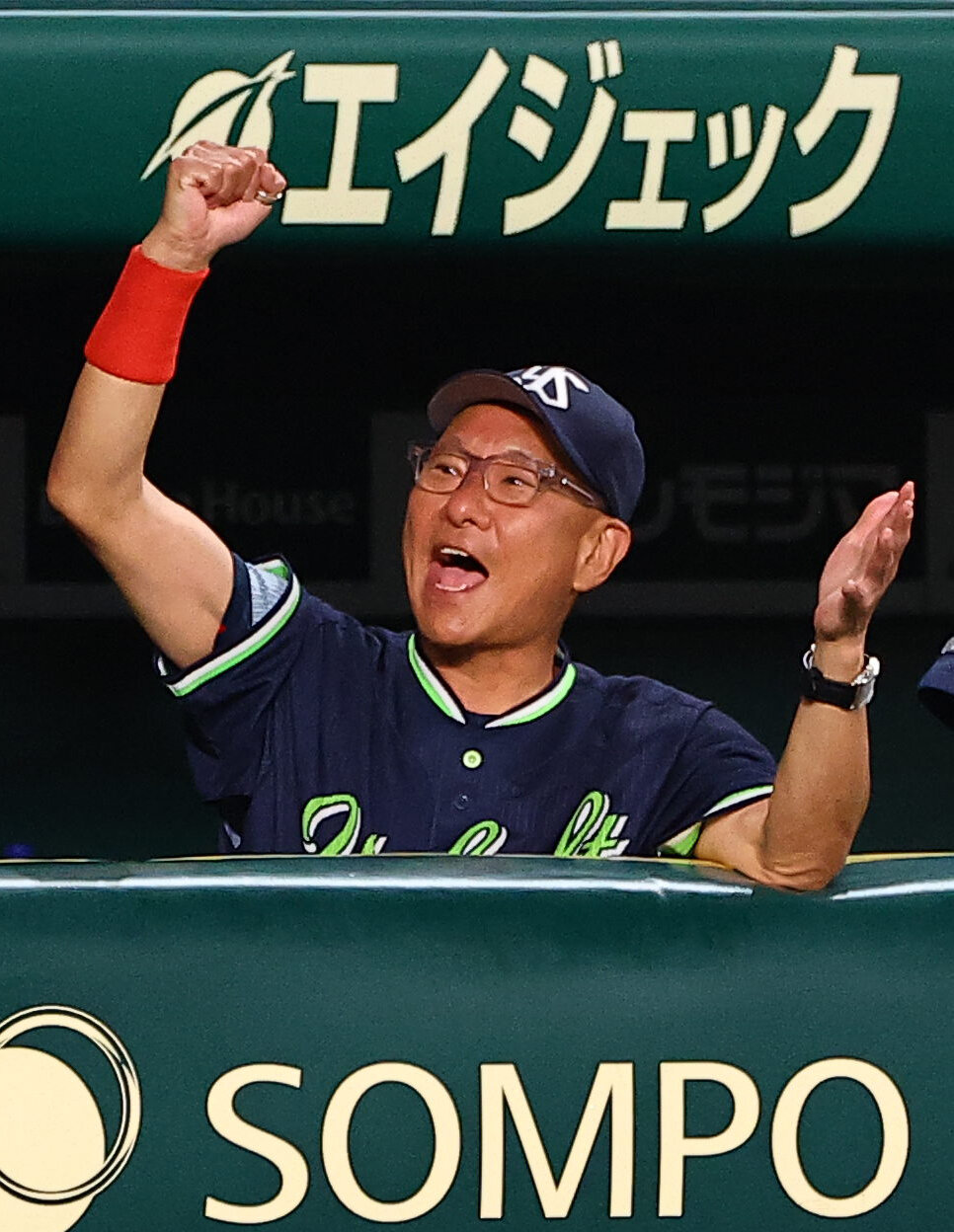 阪神対ヤクルト　6回表ヤクルト2死、赤羽由紘の勝ち越しソロ本塁打で喜ぶ池山隆寛監督（撮影・上田博志）