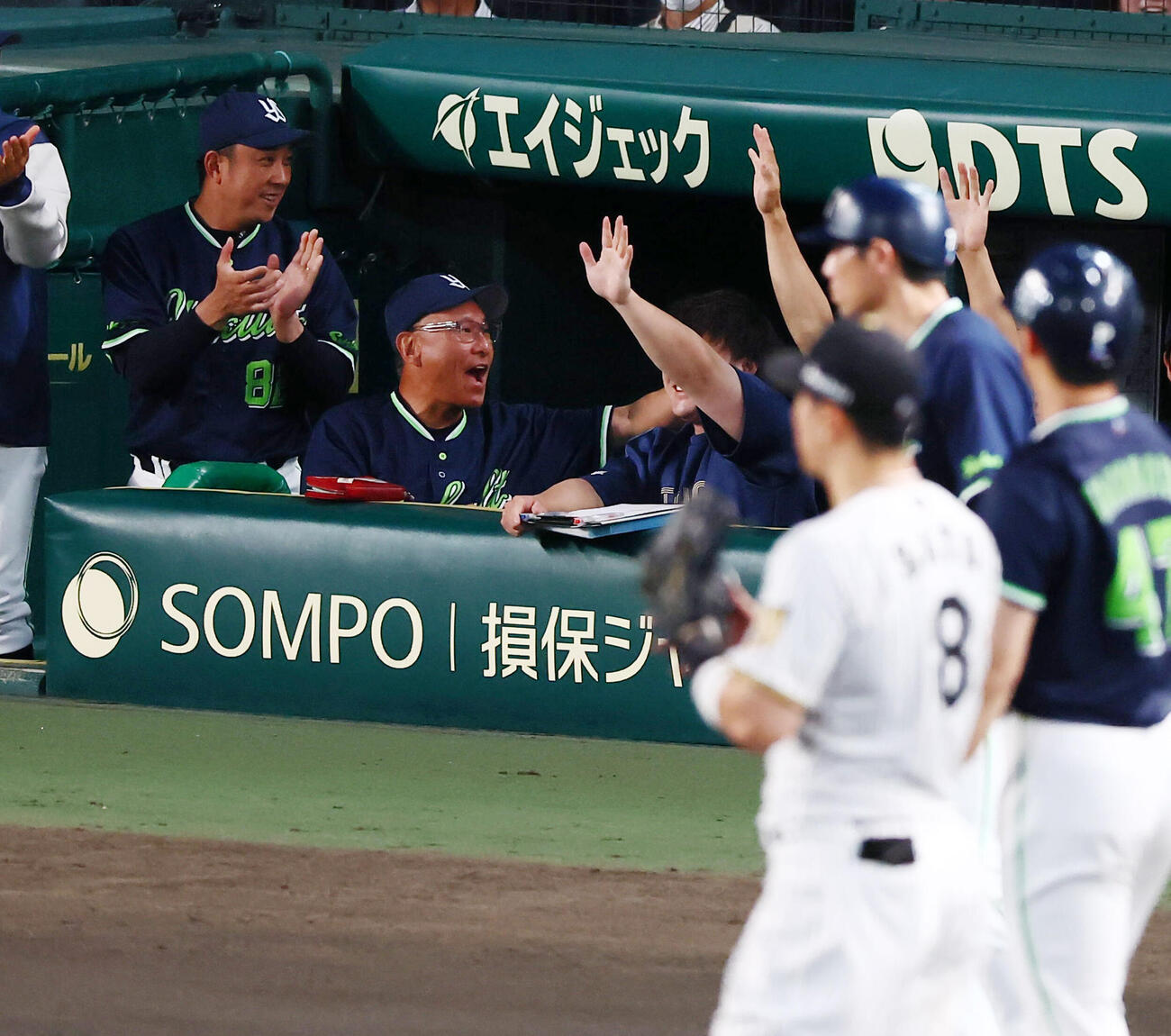 阪神対ヤクルト　5回表ヤクルト1死二、三塁、三走松下歩叶が山野辺翔の野選で生還しビデオ検証の結果セーフ判定にベンチで笑顔を見せる池山隆寛監督とナイン（撮影・加藤哉）