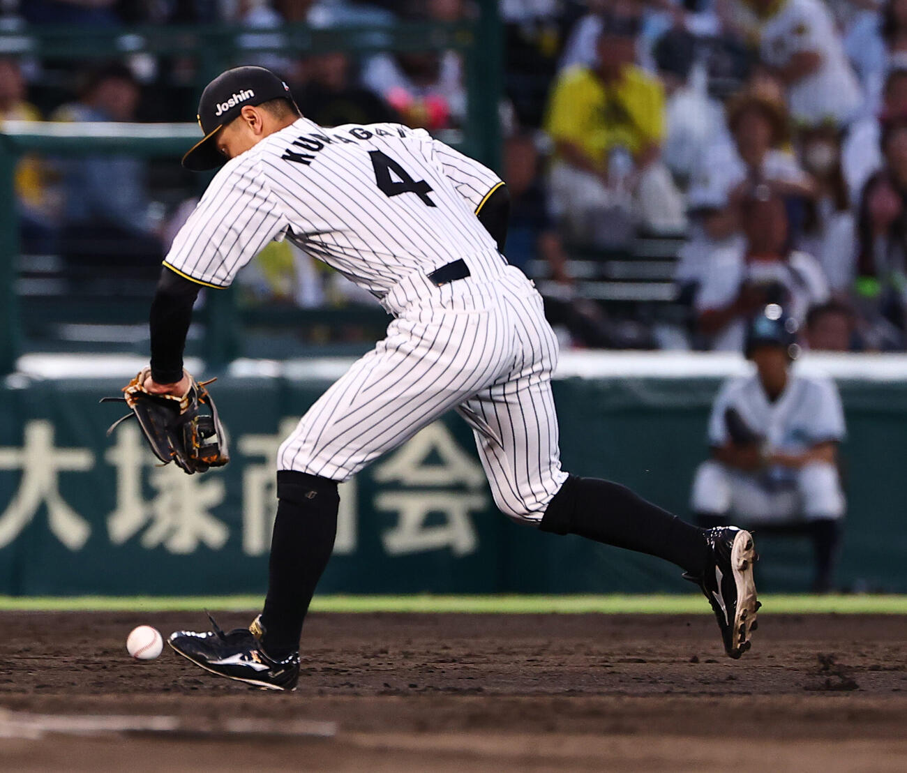 阪神対ヤクルト　5回表ヤクルト1死三塁、熊谷敬宥は高橋奎二のゴロをファンブルする（撮影・上田博志）