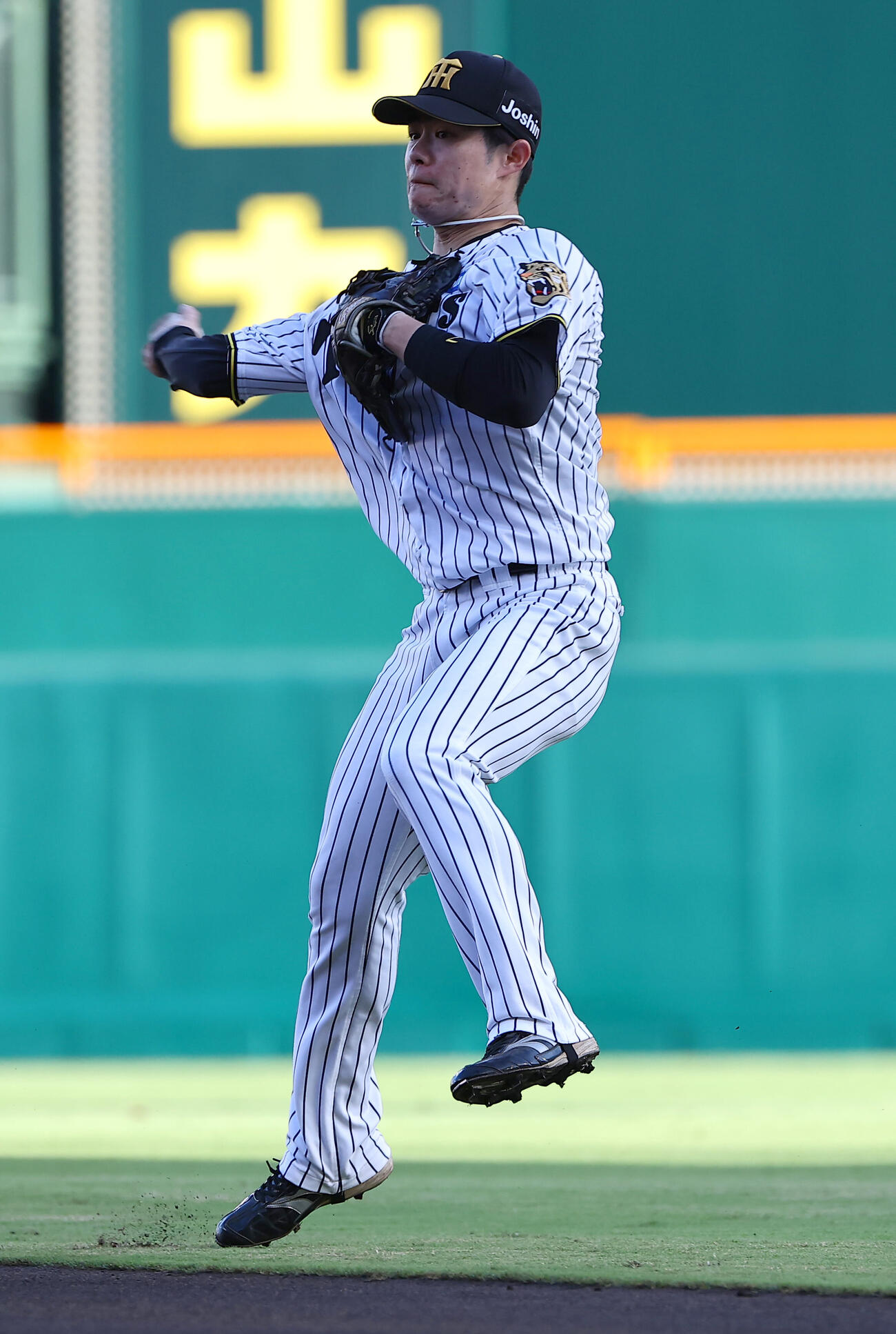 阪神対ヤクルト　1回表ヤクルト無死、中野拓夢は岩田幸宏の二ゴロを軽快にさばく（撮影・上田博志）