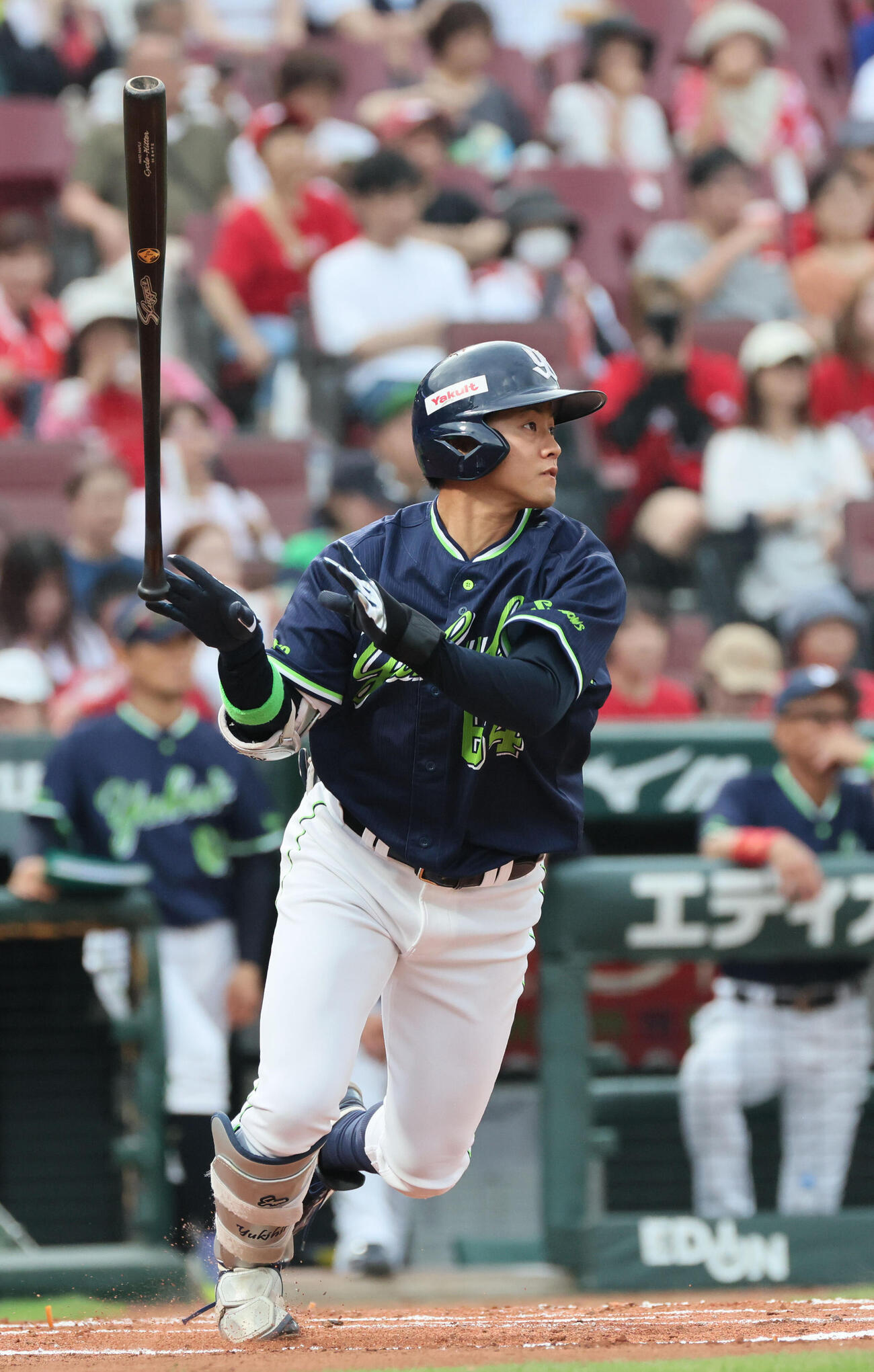 ヤクルト岩田幸宏（2026年7月撮影）