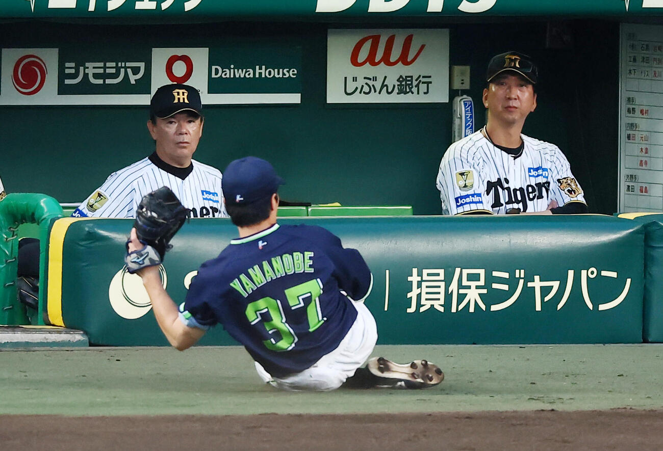 阪神対ヤクルト　4回裏阪神無死、山野辺翔は森下翔太の邪飛を一塁ベンチ前でスライディングキャッチ。右は藤川球児監督（撮影・加藤哉）