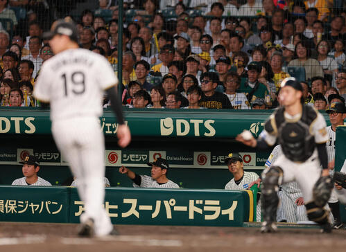阪神】ミスミス連勝ストップ 藤川監督「次へ、次へ」切り替え強調
