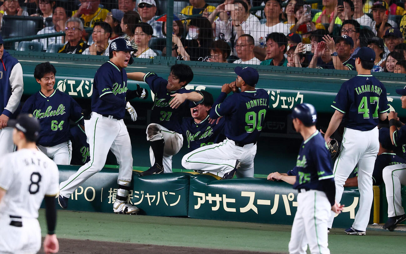 阪神対ヤクルト　6回表ヤクルト2死、赤羽由紘は左越え勝ち越しソロ本塁打を放ちベンチのナインとタッチする（撮影・加藤哉）