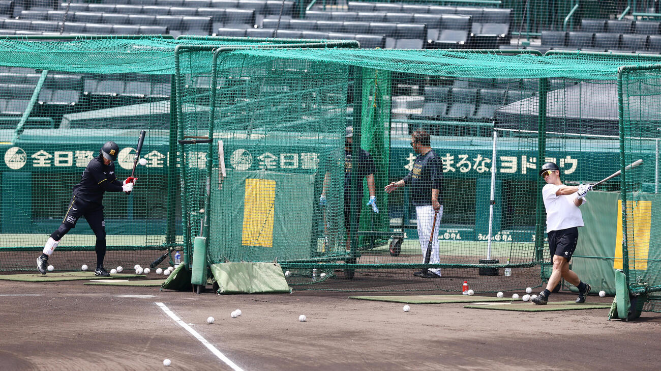 阪神対ヤクルト　全体練習前、早出特打を行う福島圭音（左）と坂本誠志郎ら阪神ナイン（撮影・加藤哉）