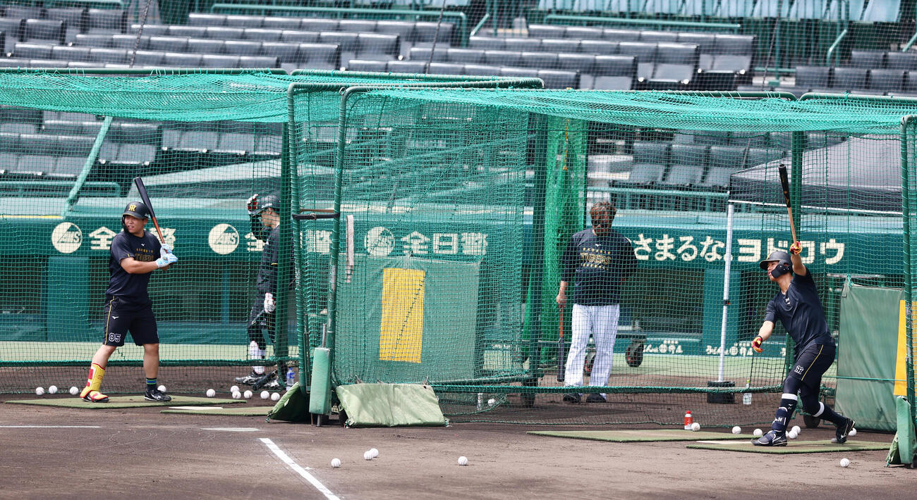 阪神対ヤクルト　全体練習前、早出特打を行う嶋村麟士朗（左）と岡城快生ら阪神ナイン（撮影・加藤哉）
