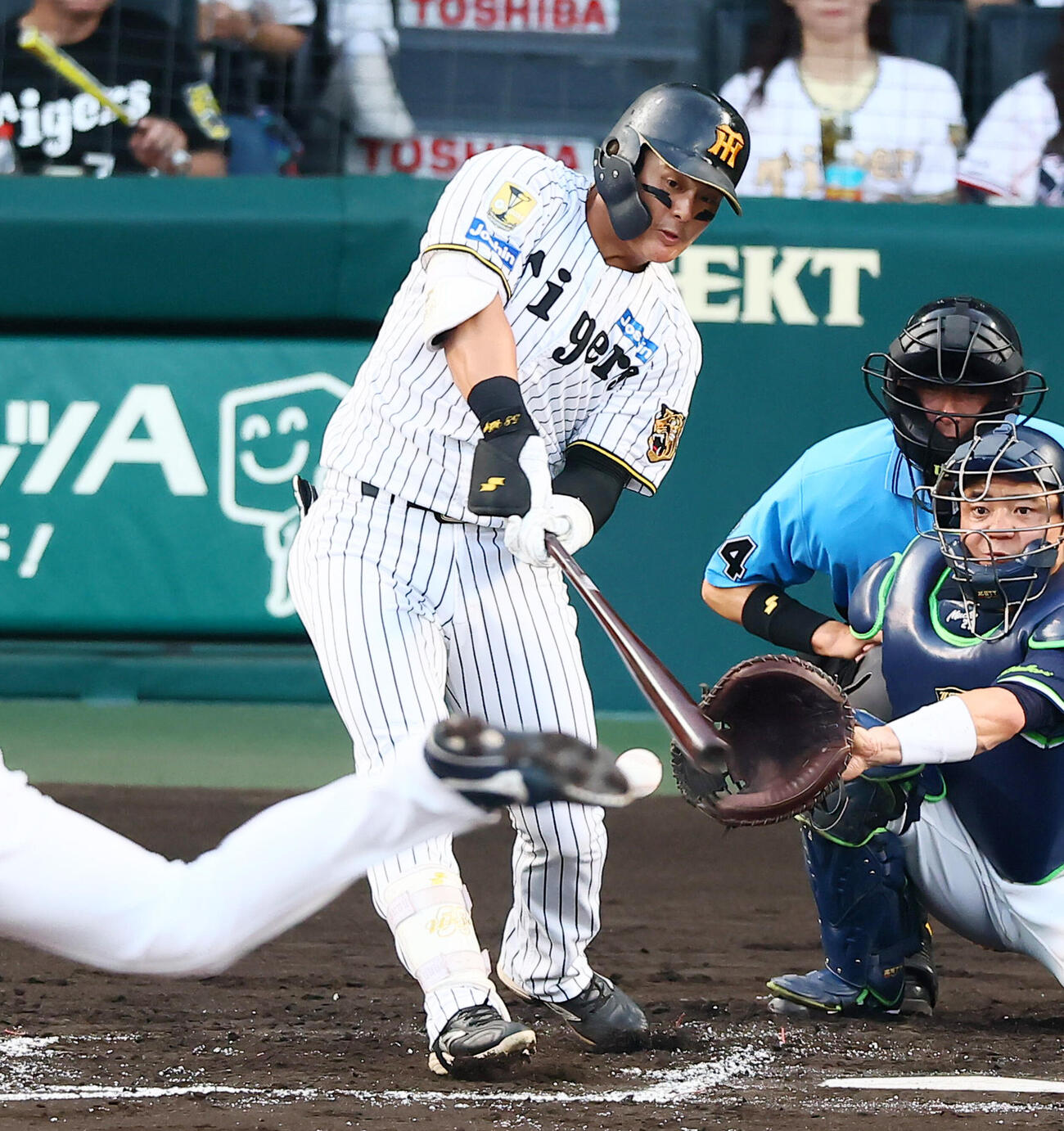 阪神対ヤクルト　2回裏阪神1死、自打球を当てる前川右京（撮影・加藤哉）
