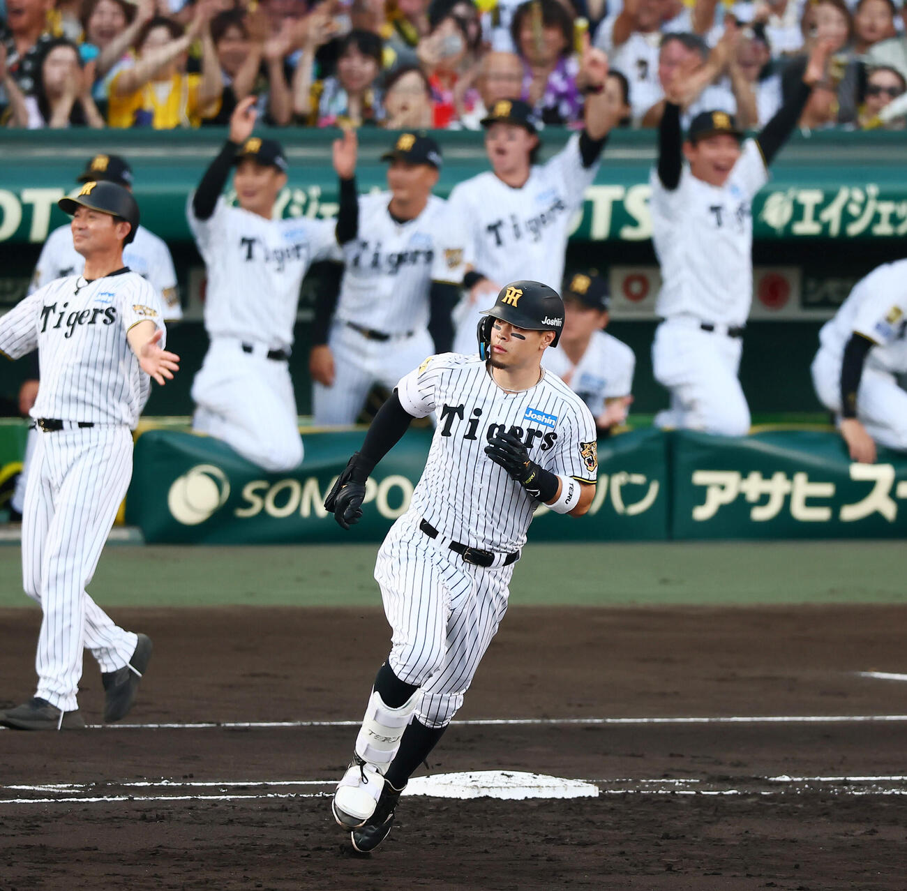 阪神対ヤクルト　2回裏阪神無死、佐藤輝明は右越えに先制本塁打を放ち一塁を回る（撮影・加藤哉）