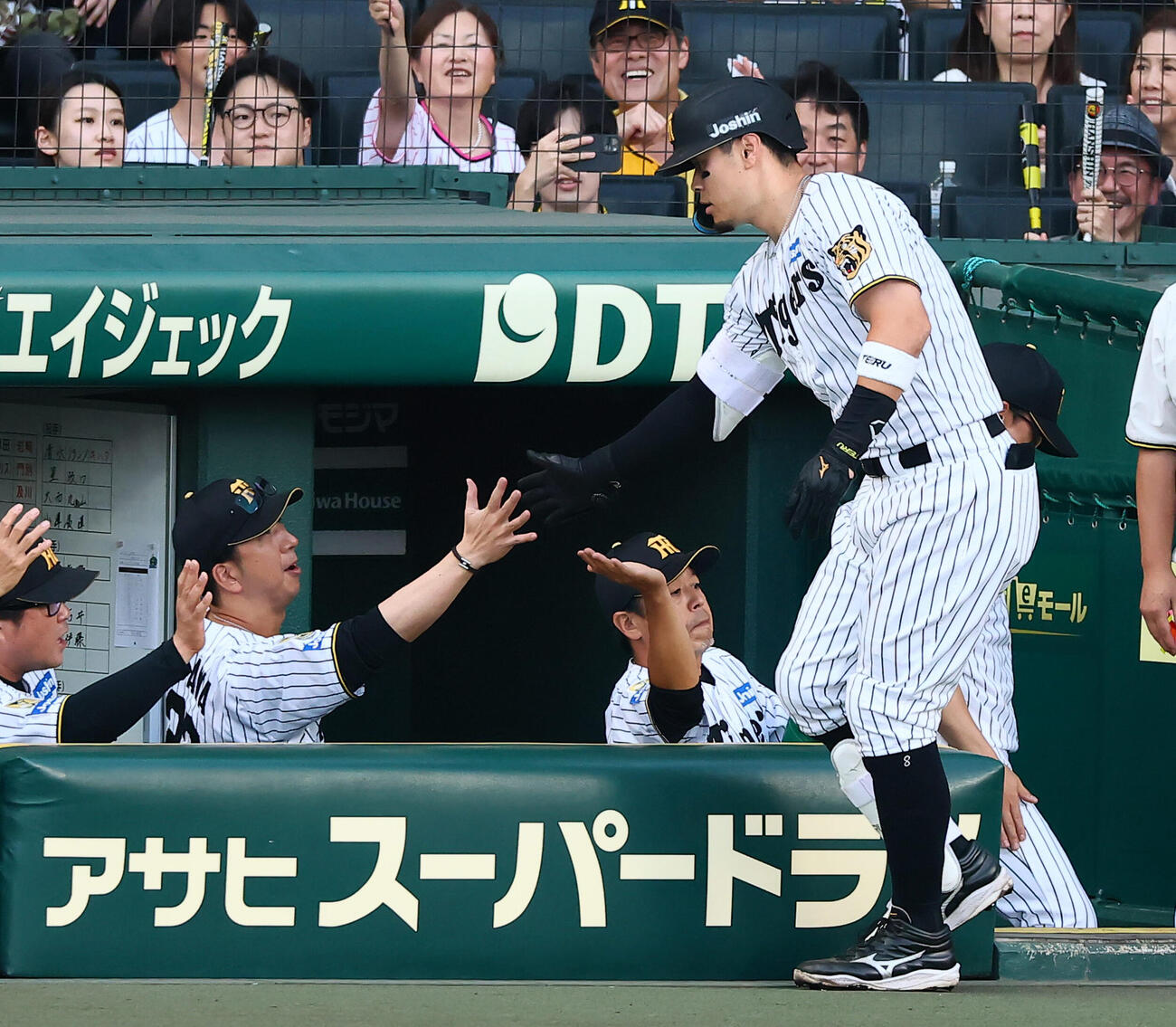 阪神対ヤクルト　2回裏阪神無死、右越えソロ本塁打を放った佐藤輝明（右）をベンチで迎える藤川球児監督（撮影・加藤哉）