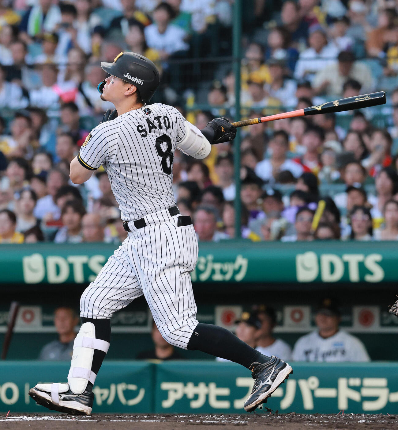 阪神対ヤクルト　2回裏阪神無死、佐藤輝明は右越え本塁打を放つ（撮影・上山淳一）