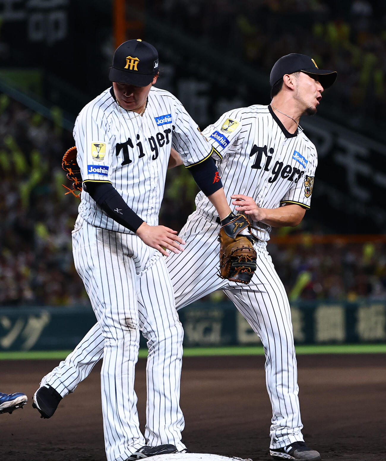 阪神対ヤクルト　7回表ヤクルト2死、ベースカバーに入った伊藤将司（右）は大山悠輔と交錯する（撮影・上田博志）