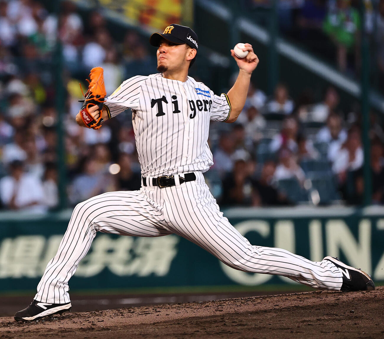 阪神対ヤクルト　伊藤将司はカーブを投げる（撮影・上田博志）