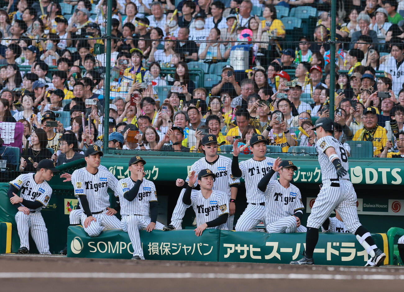 阪神対ヤクルト　2回裏阪神無死、佐藤輝明（右）は右越え本塁打を放ち祝福を受ける（撮影・上山淳一）