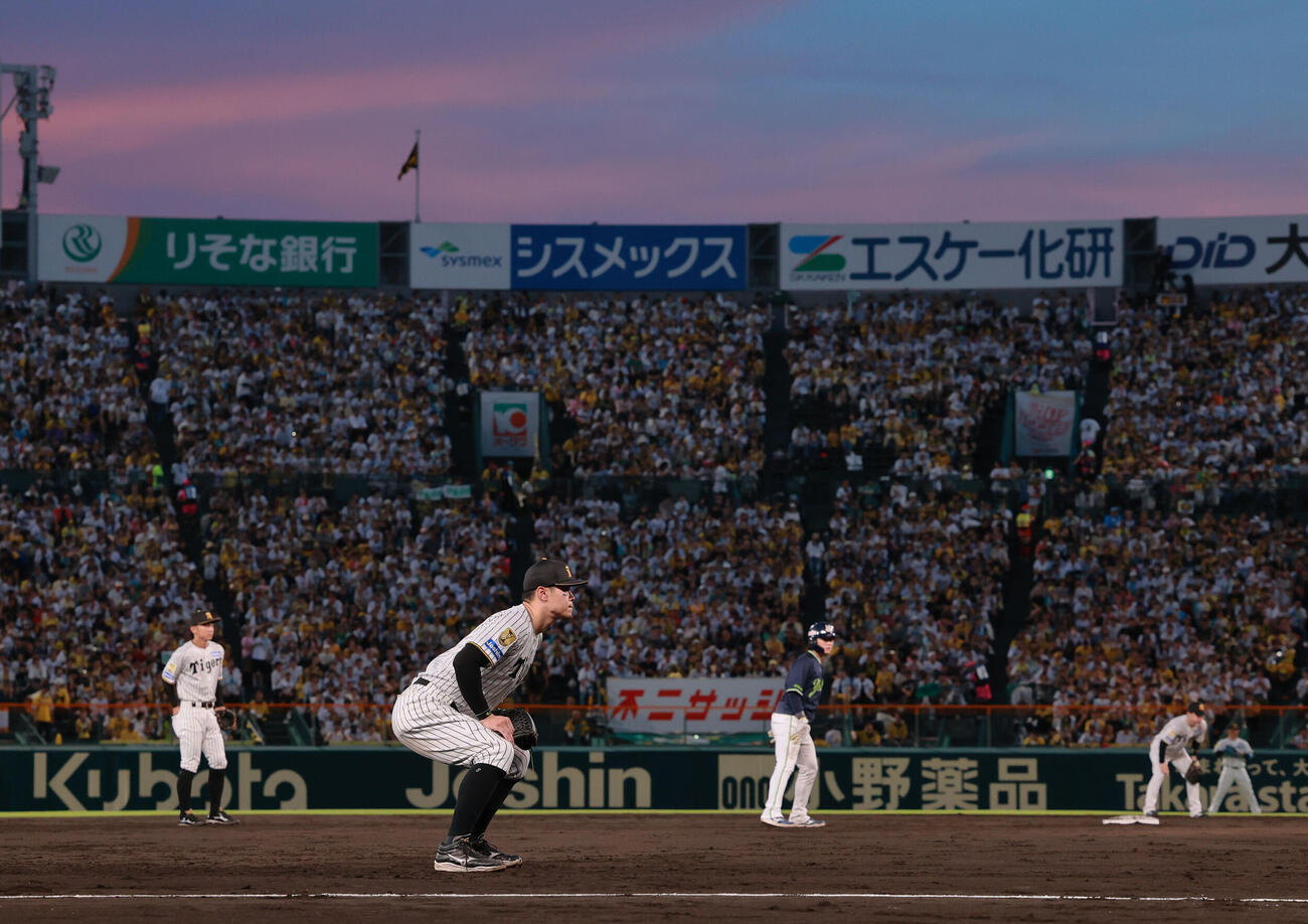 阪神対ヤクルト　5回表、三塁を守る佐藤輝明（撮影・上山淳一）