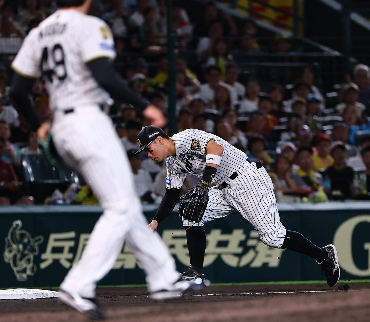 阪神対ヤクルト　8回表ヤクルト無死一塁、佐藤輝明は塩見泰隆の打球をファンブルする（撮影・上田博志）