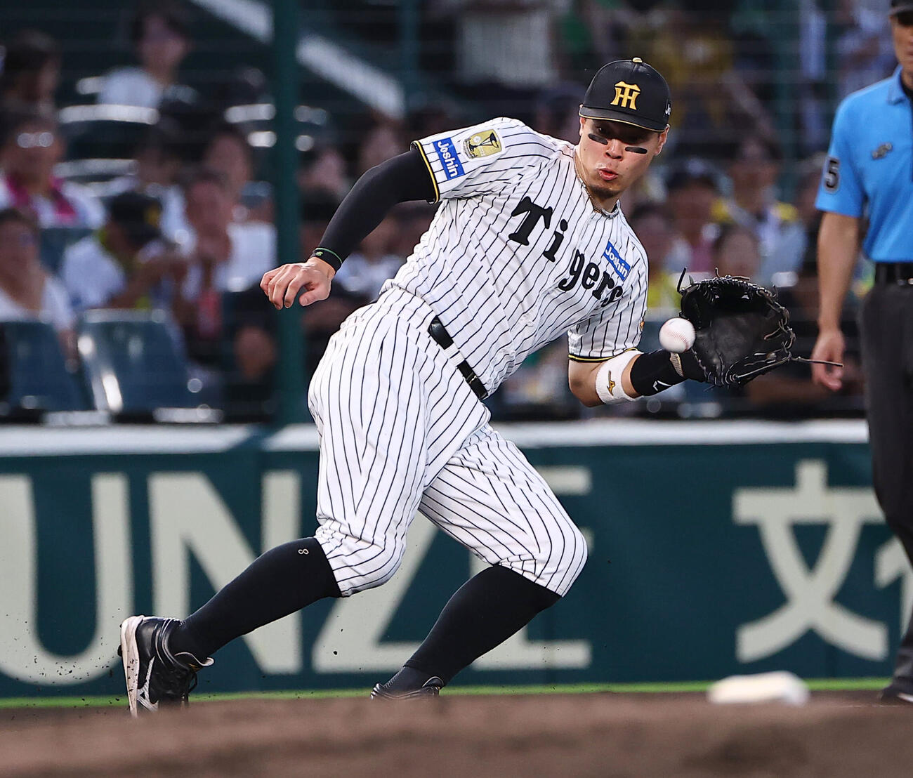 阪神対ヤクルト　5回表ヤクルト無死、佐藤輝明は赤羽由紘の三ゴロをさばく（撮影・上田博志）