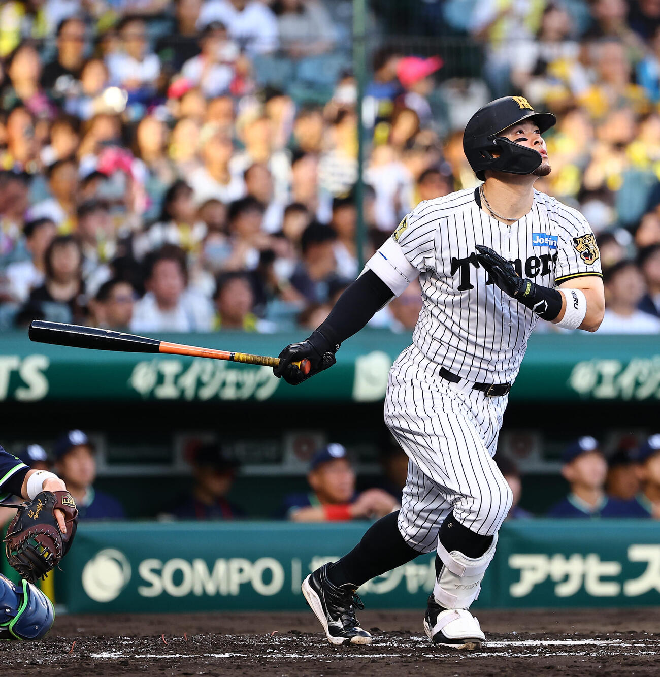 阪神対ヤクルト　2回裏阪神無死、佐藤輝明は先制ソロ本塁打を放つ（撮影・上田博志）