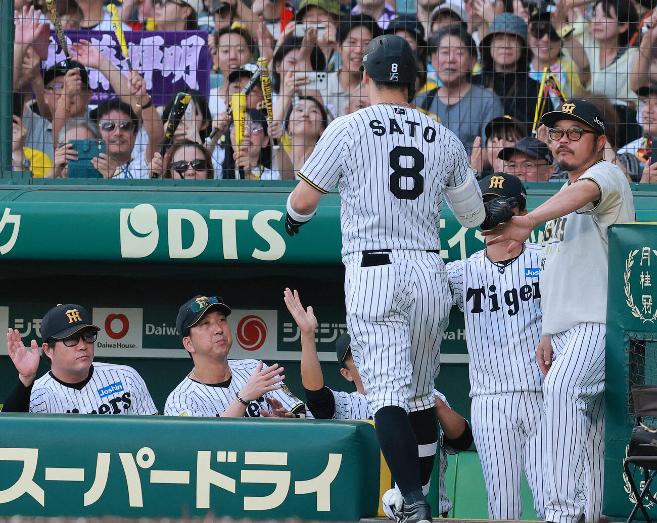 阪神対ヤクルト　2回裏阪神無死、右越え本塁打を放った佐藤輝明（手前）を出迎える藤川球児監督（左から2人目）（撮影・上山淳一）