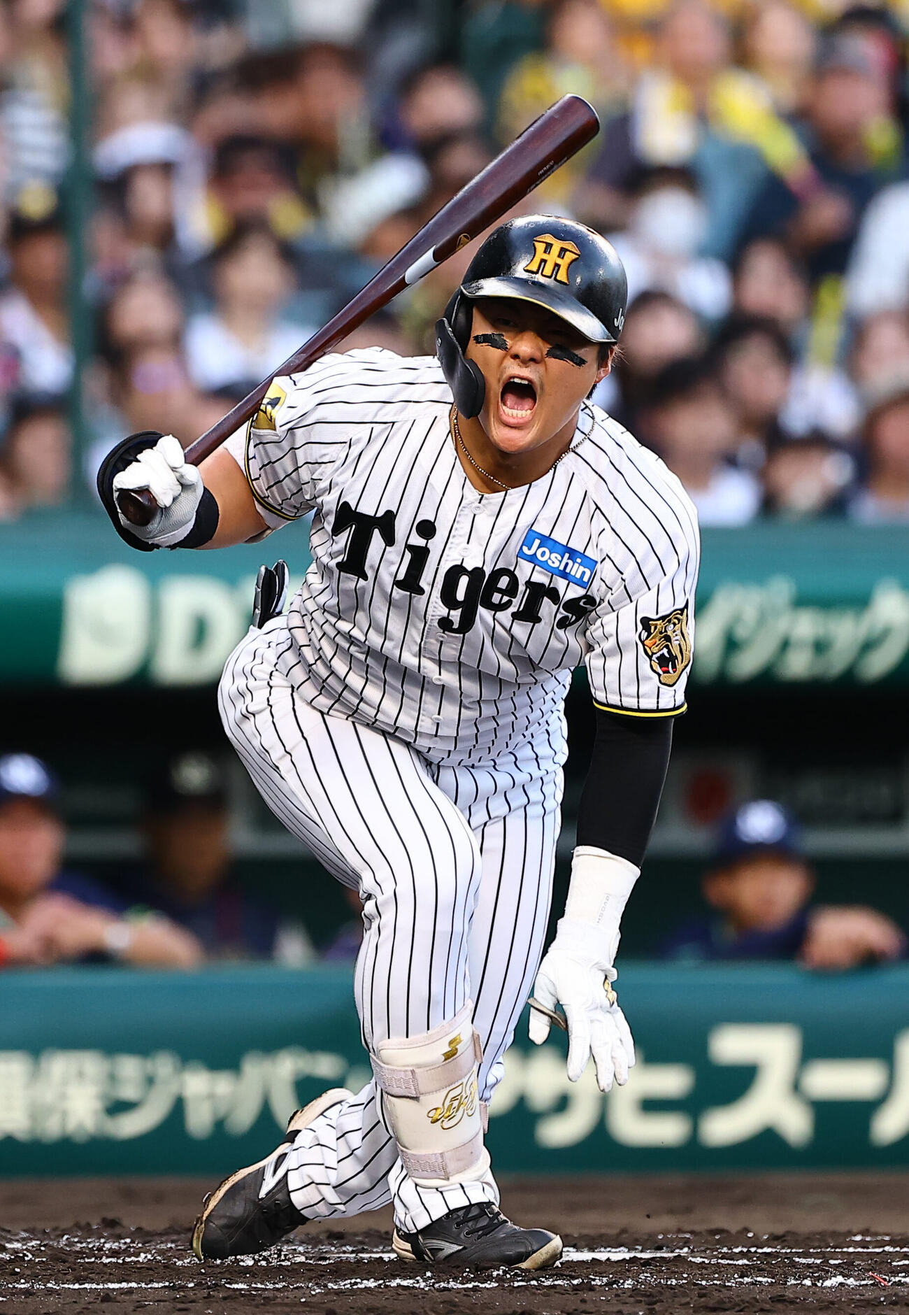 阪神対ヤクルト　2回裏阪神1死、自打球を当て痛がる前川右京（撮影・上田博志）