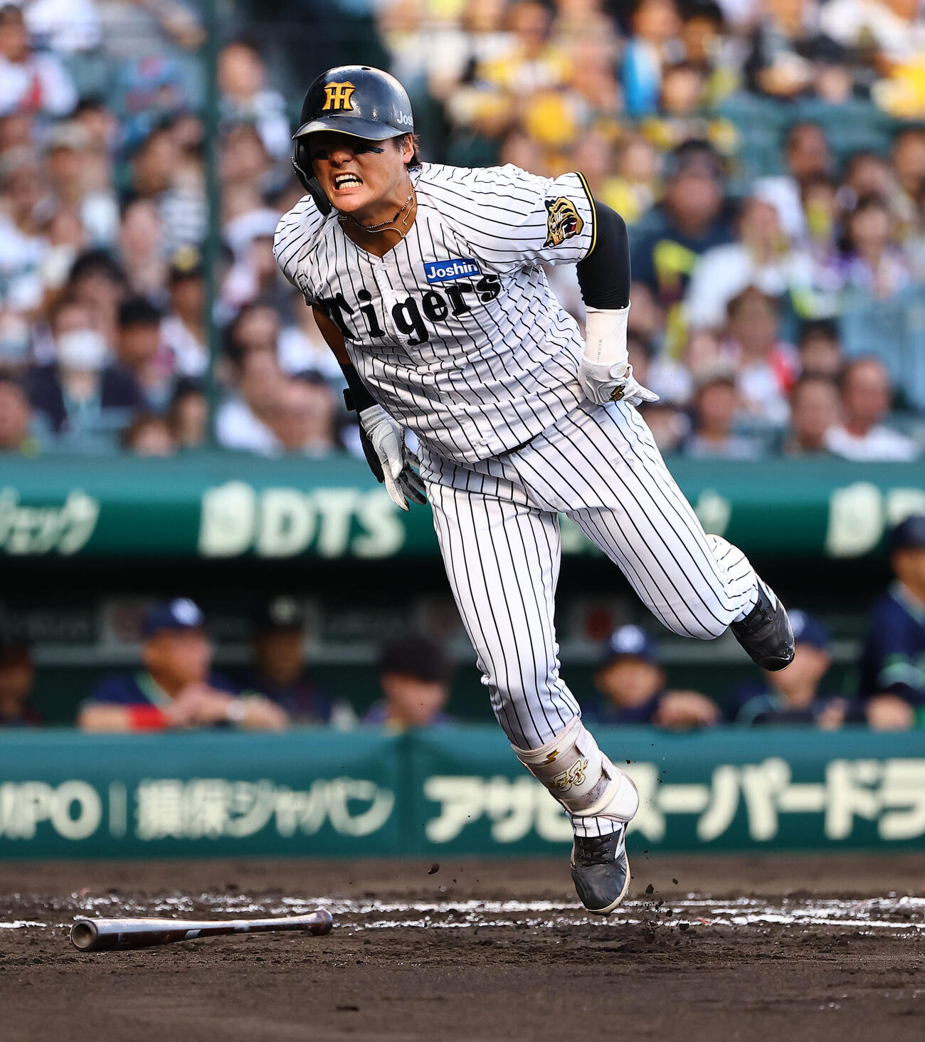 阪神対ヤクルト　2回裏阪神1死、自打球を当て痛がる前川右京（撮影・上田博志）
