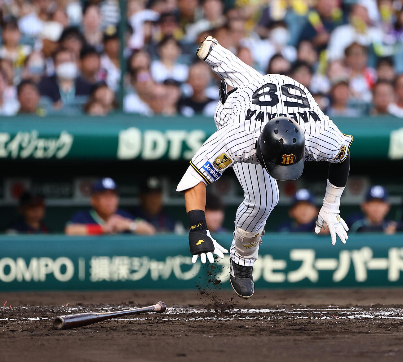 阪神対ヤクルト　2回裏阪神1死、自打球を当て痛がる前川右京（撮影・上田博志）