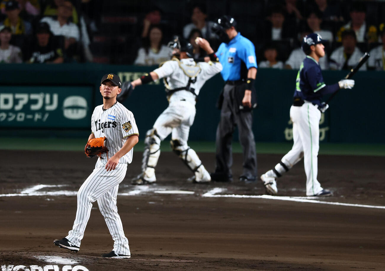 阪神対ヤクルト　7回表ヤクルト1死、伊藤将司は赤羽由紘を三振に仕留める（撮影・加藤哉）
