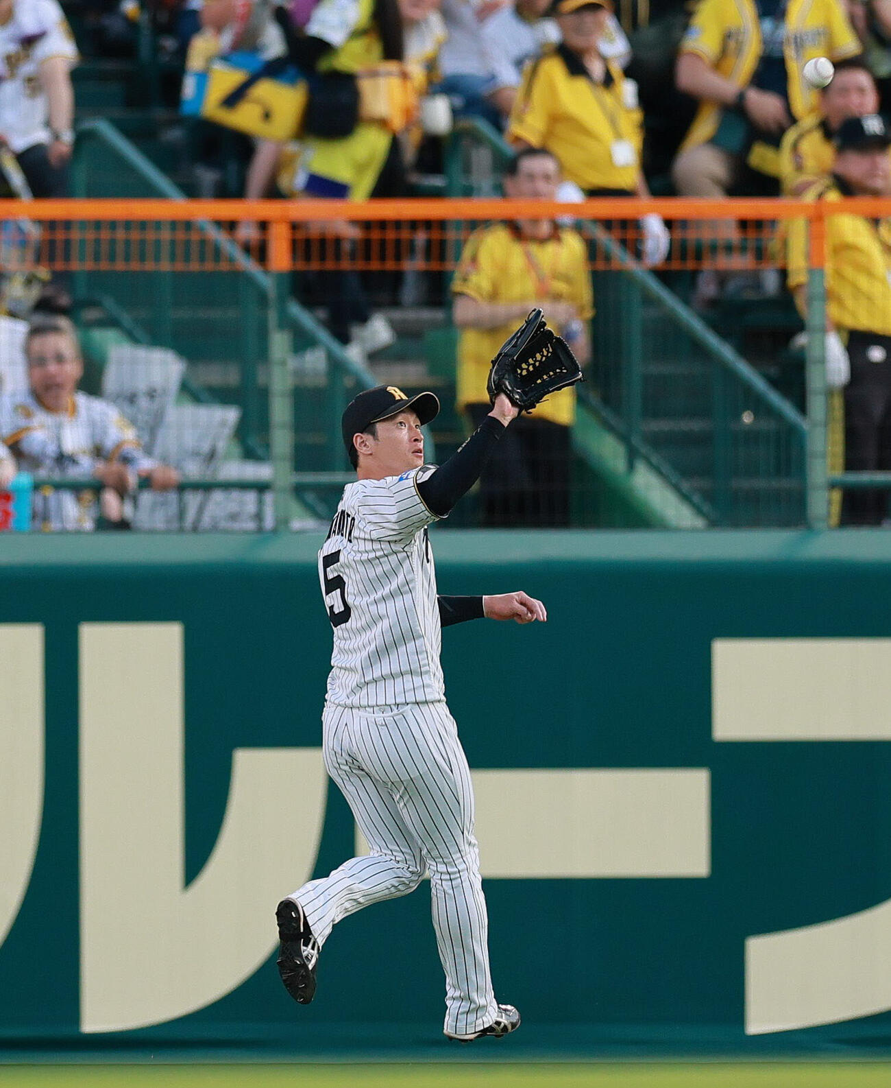 阪神対ヤクルト　3回表ヤクルト2死、岩田幸宏の中飛を追う近本光司（撮影・上山淳一）