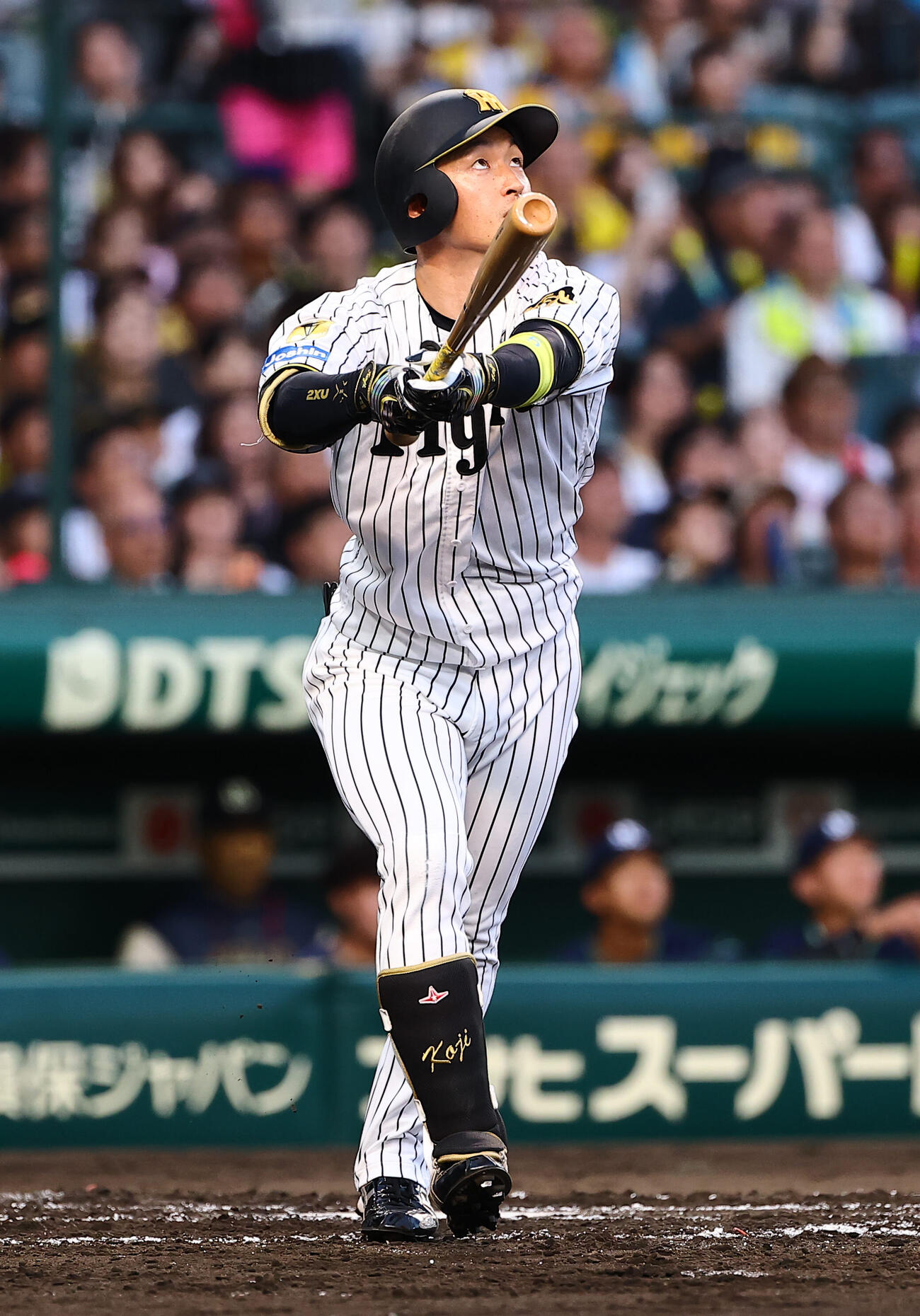 阪神対ヤクルト　3回裏阪神1死二塁、近本光司は右飛を放つ（撮影・上田博志）