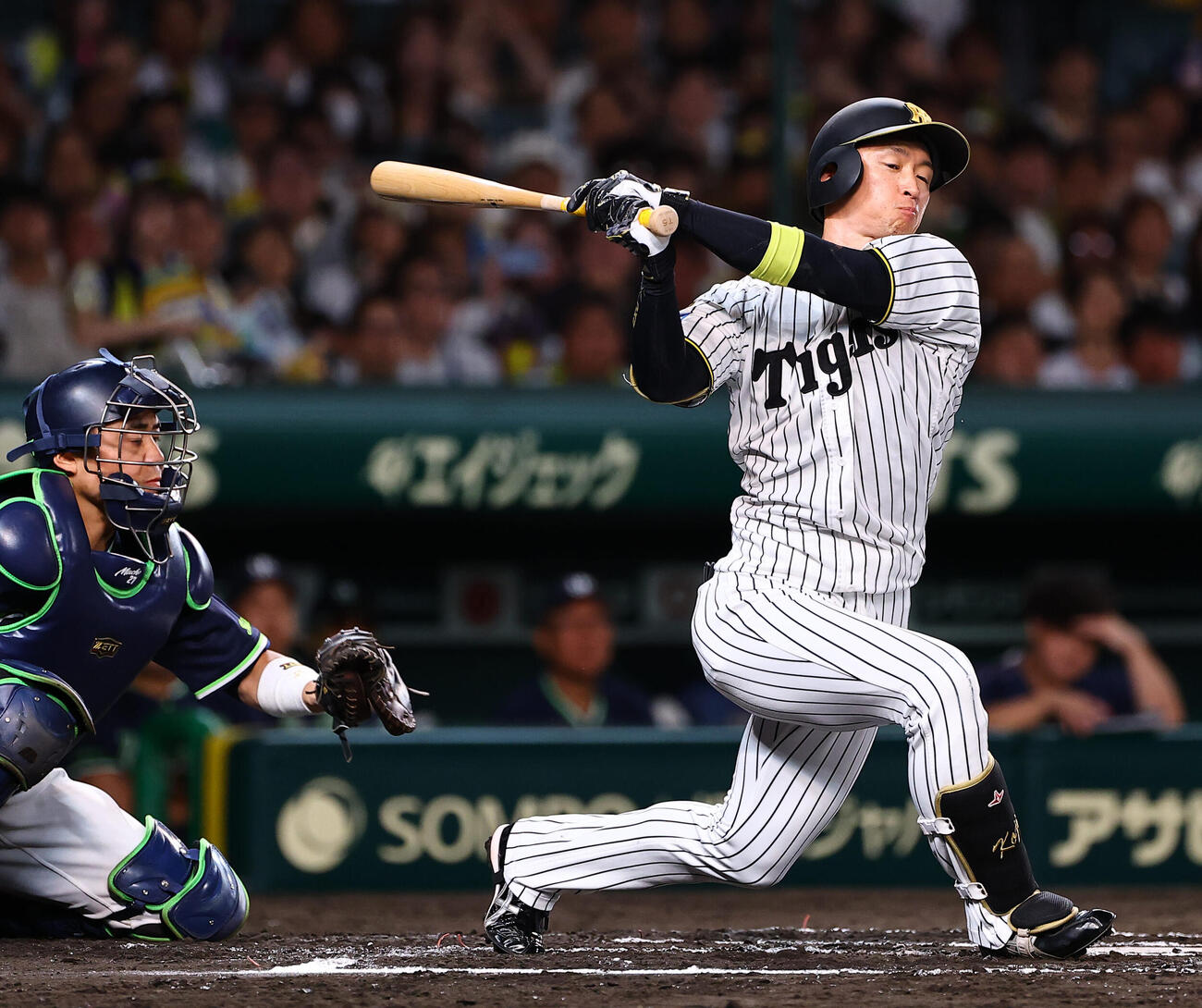 阪神対ヤクルト　6回裏阪神1死、近本光司は三振に倒れる（撮影・上田博志）