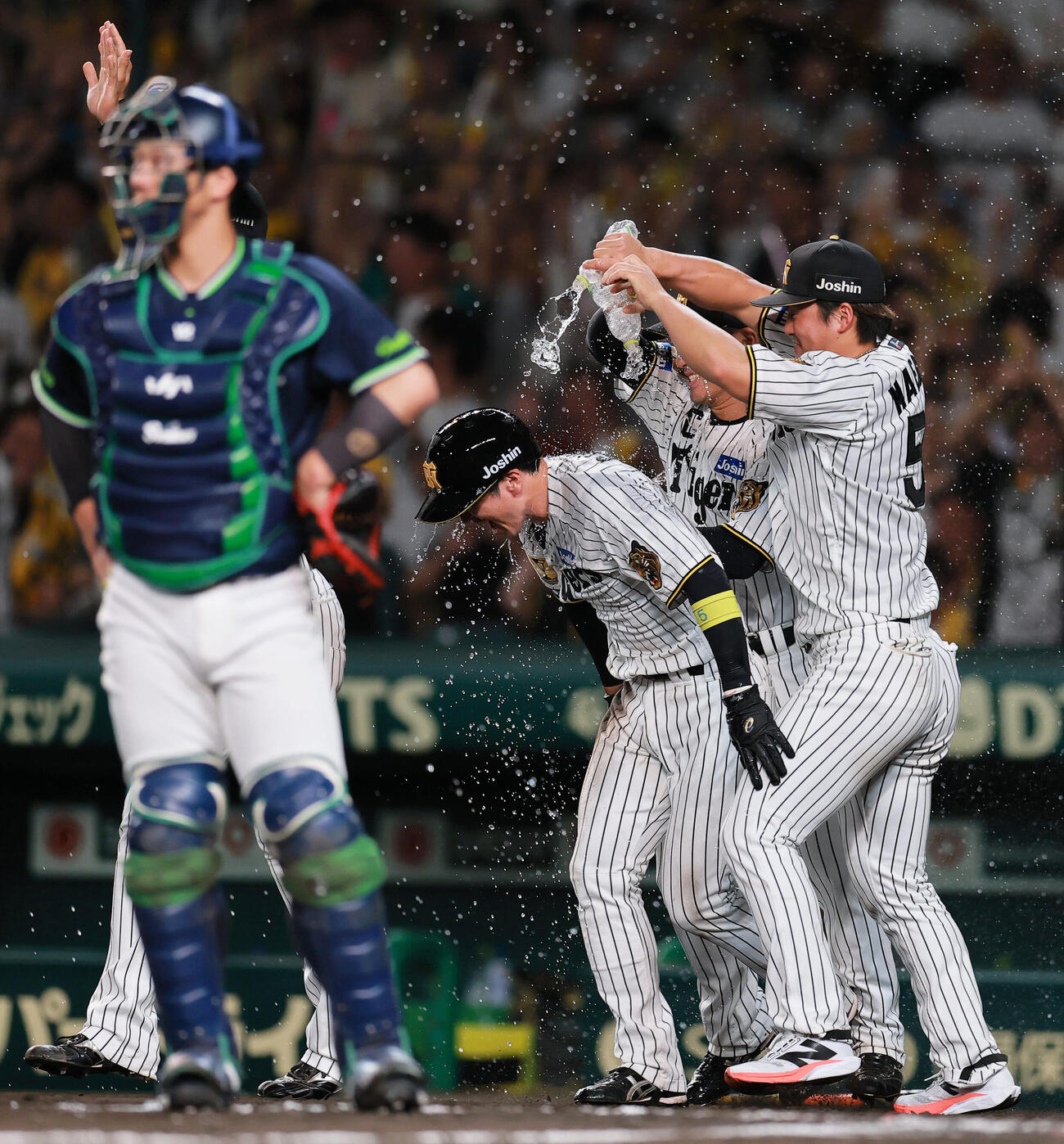 阪神対ヤクルト　9回裏阪神1死一、二塁、二走近本光司（中央）は森下翔太の左前打と左翼手山野辺翔のファンブルでサヨナラ生還しウオーターシャワーの祝福を受ける（撮影・上山淳一）