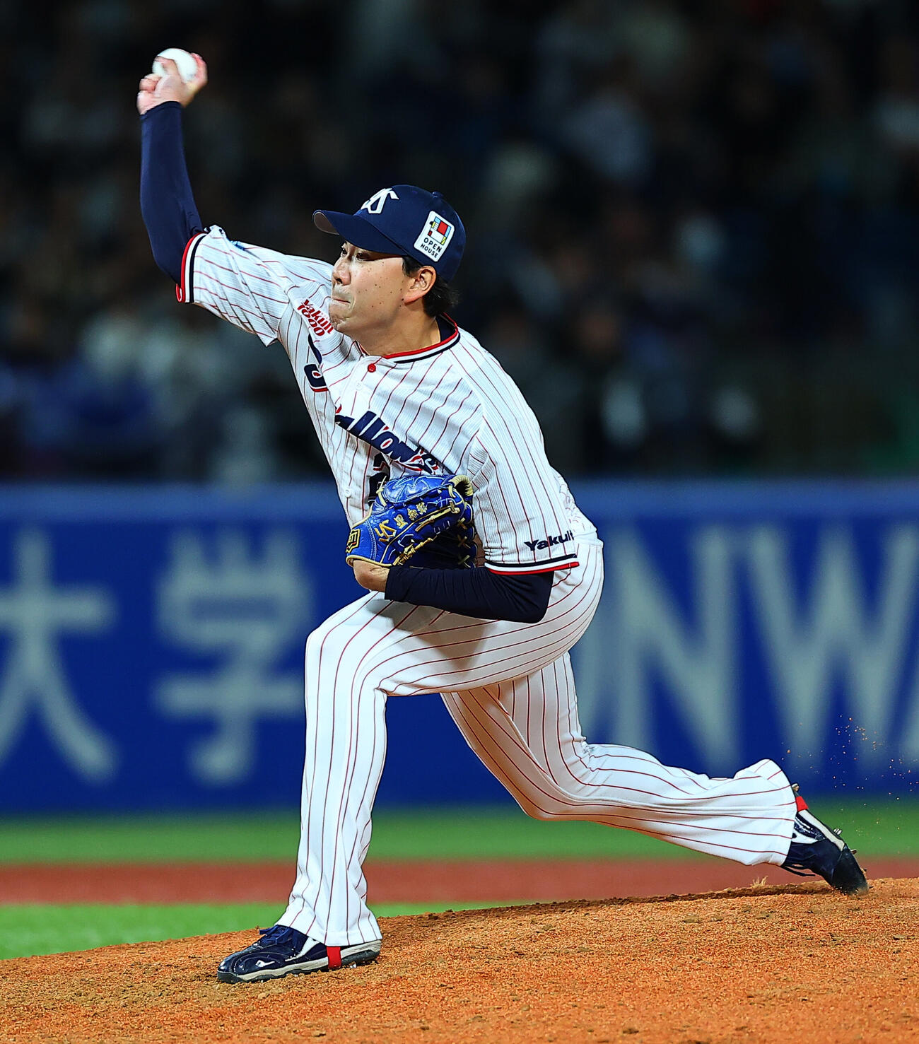 ヤクルト星知弥（2026年6月撮影）