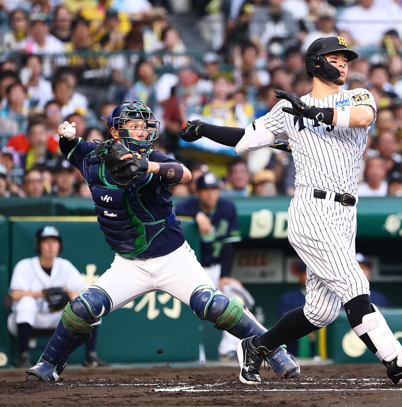 阪神対ヤクルト　1回裏阪神2死二塁、古賀優大（左）は二塁を飛び出した近本光司を刺す（撮影・上田博志）