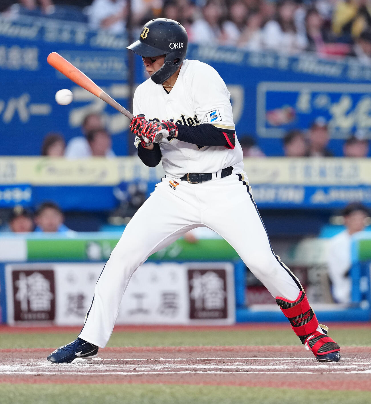 ロッテ対オリックス　6回表オリックス無死三塁、死球を受ける紅林弘太郎（撮影・鈴木みどり）