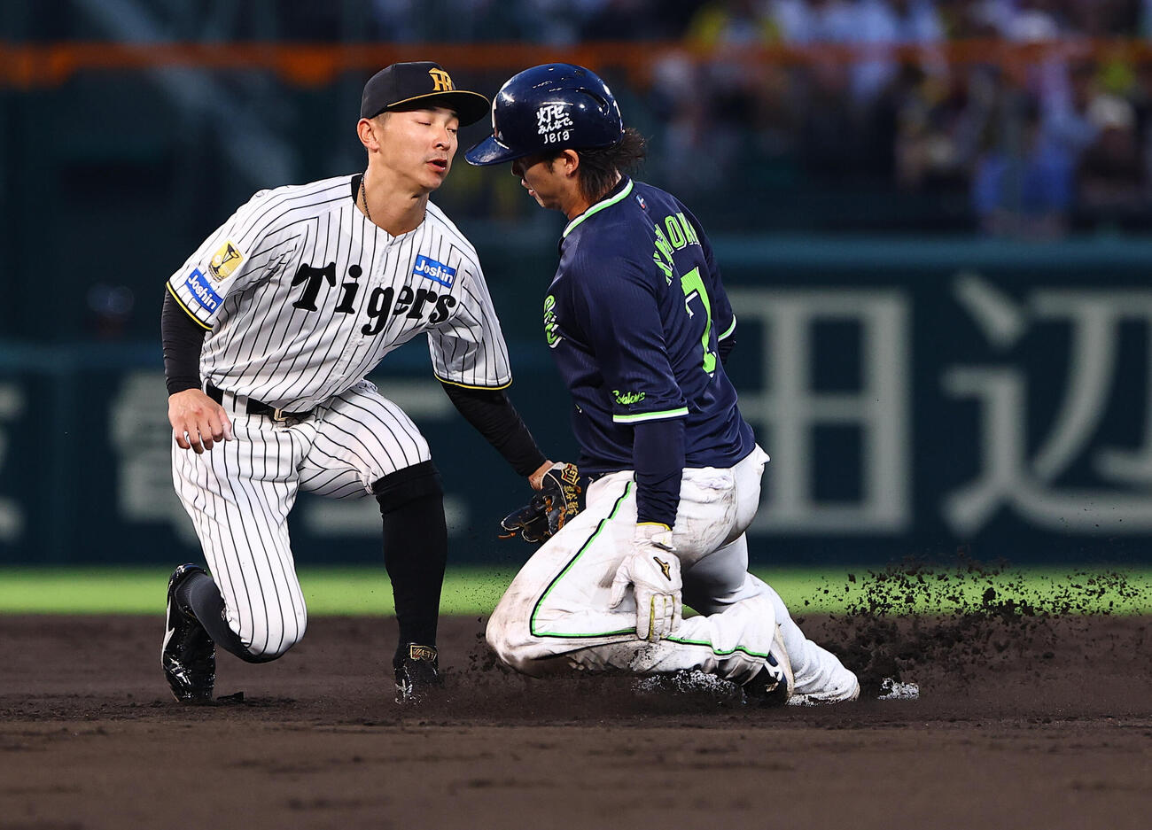阪神対ヤクルト　4回表ヤクルト無死一塁、長岡秀樹は二盗に失敗する（撮影・上田博志）