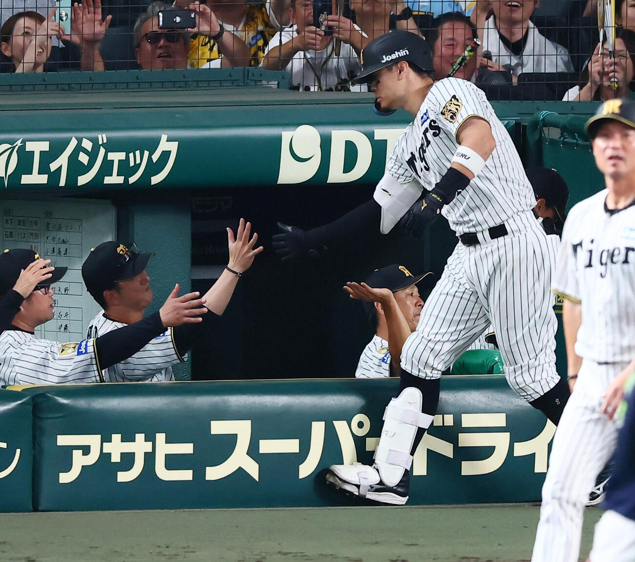 阪神対ヤクルト　7回裏阪神1死一塁、藤川球児監督（左）は中越え2点本塁打を放った佐藤輝明をベンチで出迎える（撮影・加藤哉）