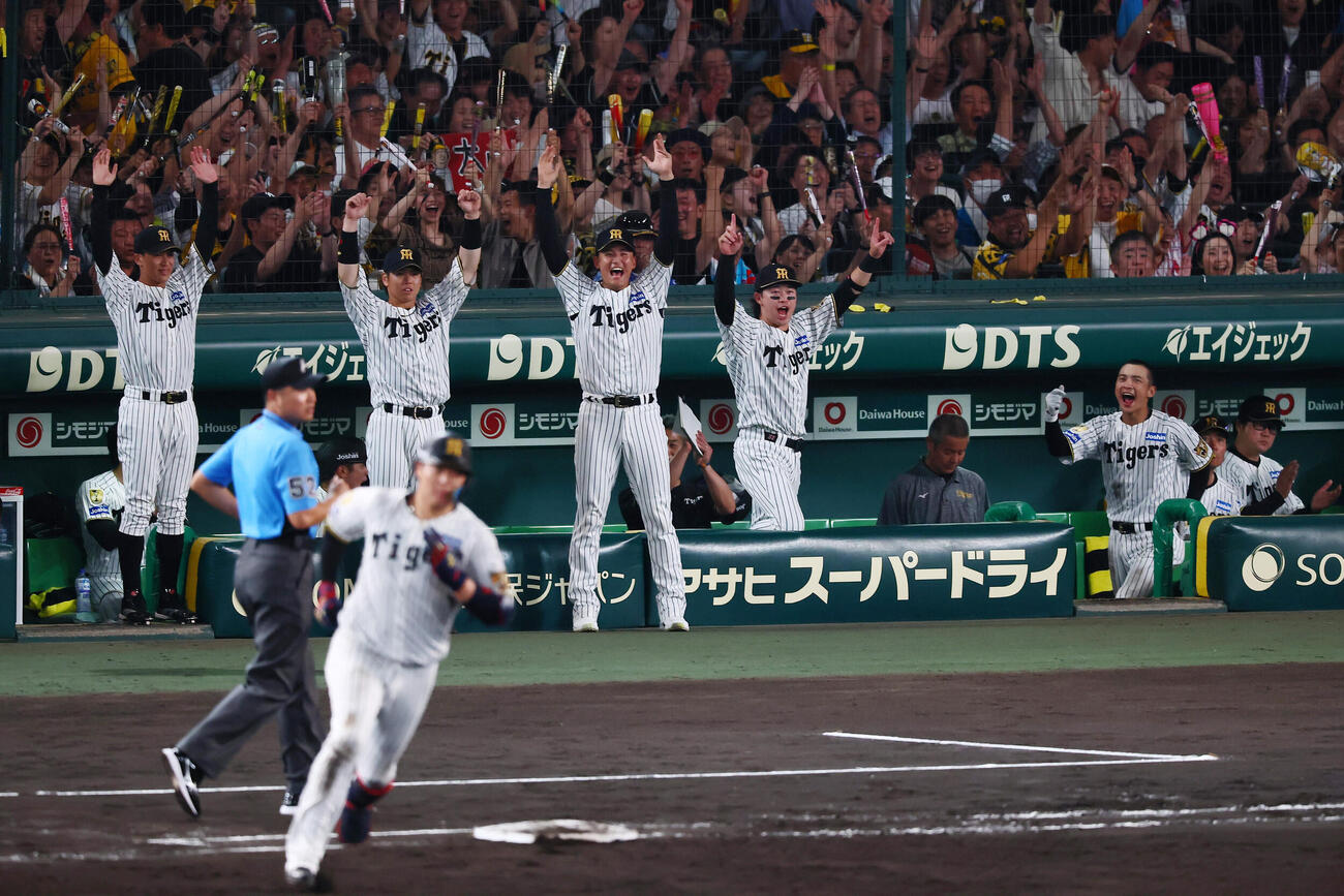 阪神対ヤクルト　7回裏阪神1死、大山悠輔のソロ本塁打に喜ぶベンチのナイン（撮影・加藤哉）