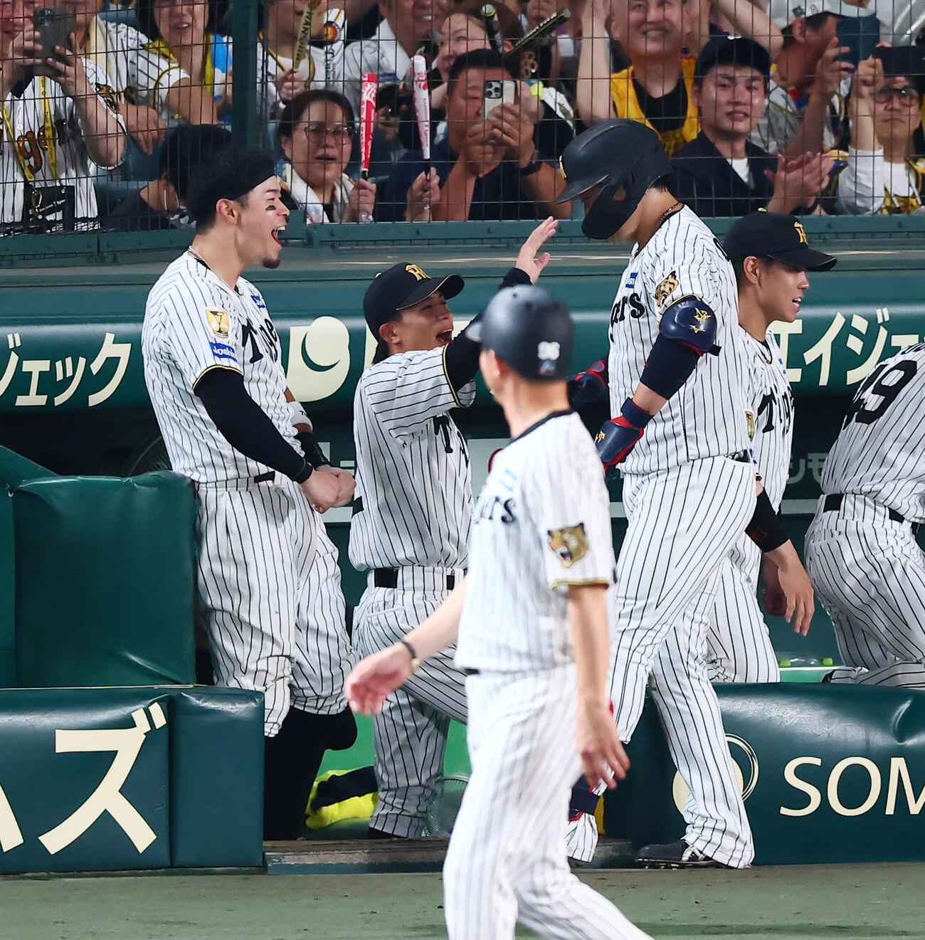阪神対ヤクルト　7回裏阪神1死、大山悠輔は佐藤輝明（左）に続いてアベックソロ本塁打を放ちベンチ前で気合いの入ったポーズを見せる（撮影・加藤哉）