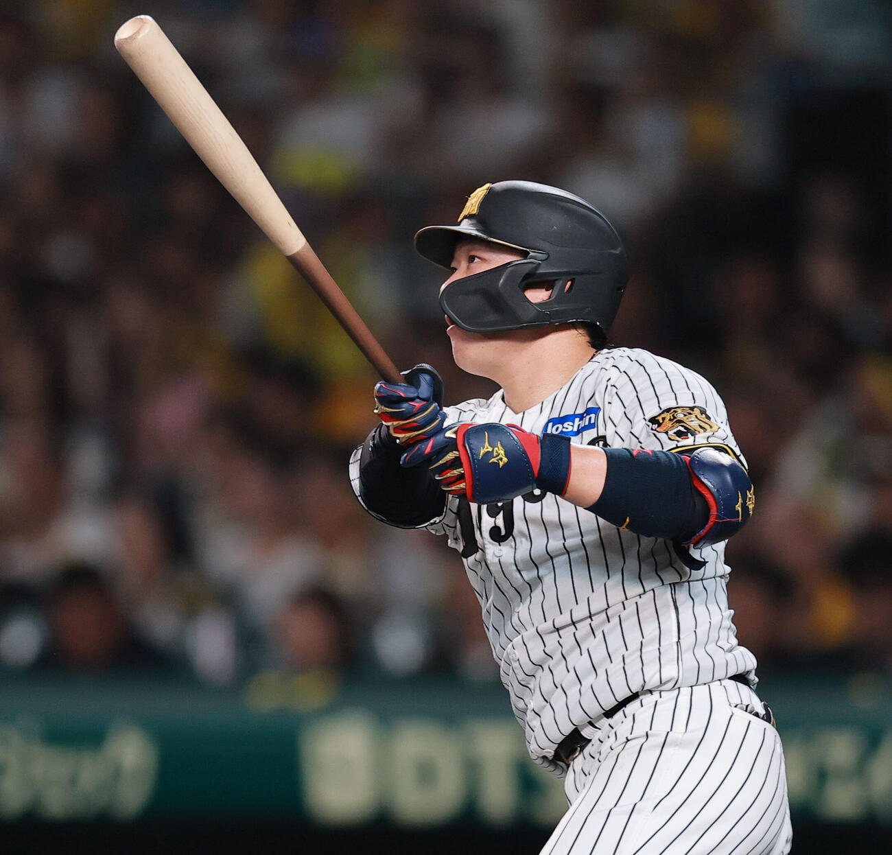 阪神対ヤクルト　7回裏阪神1死、大山悠輔は本塁打を放つ（撮影・上山淳一）