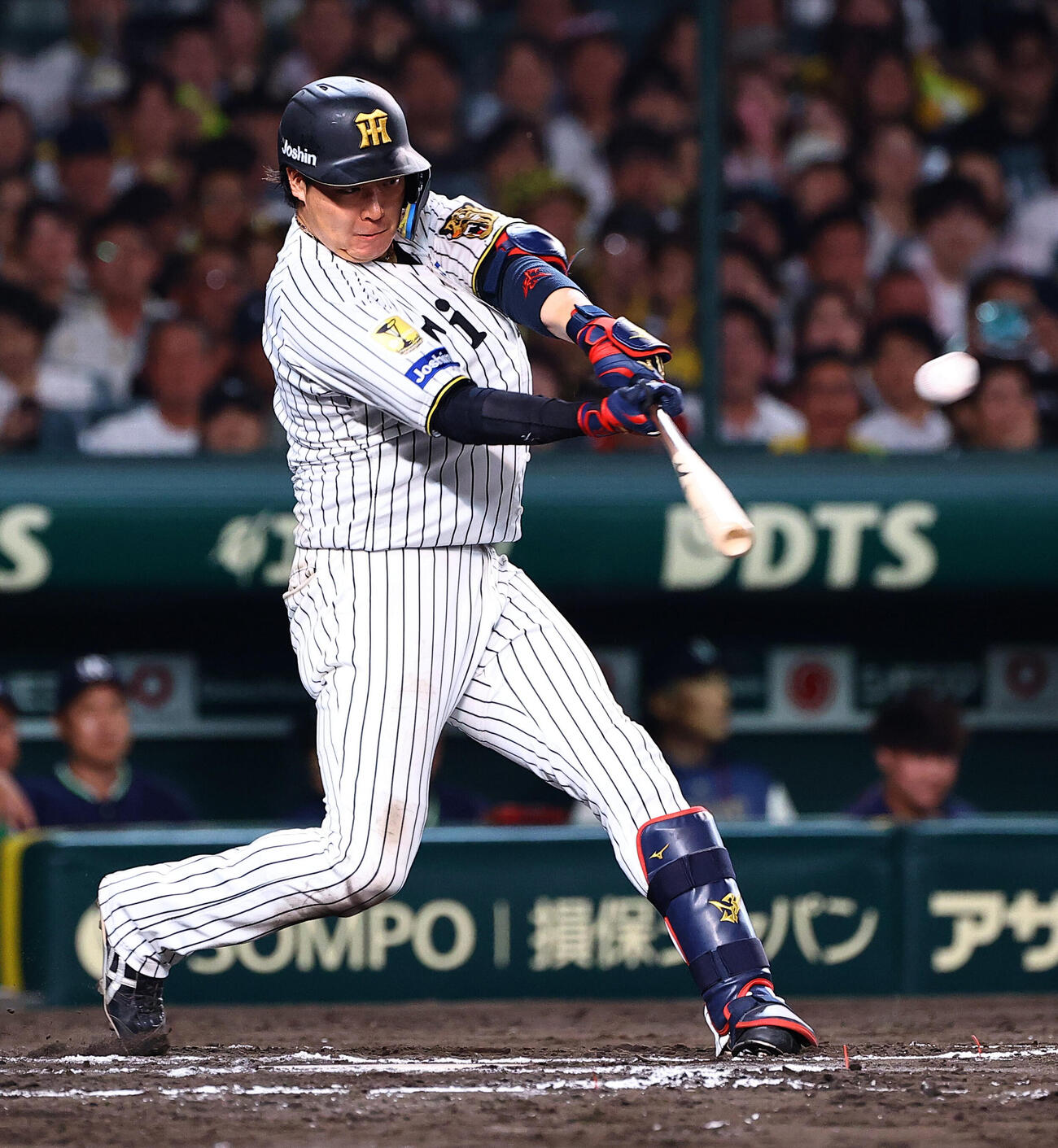 阪神対ヤクルト　7回裏阪神1死、大山悠輔はソロ本塁打を放つ（撮影・上田博志）